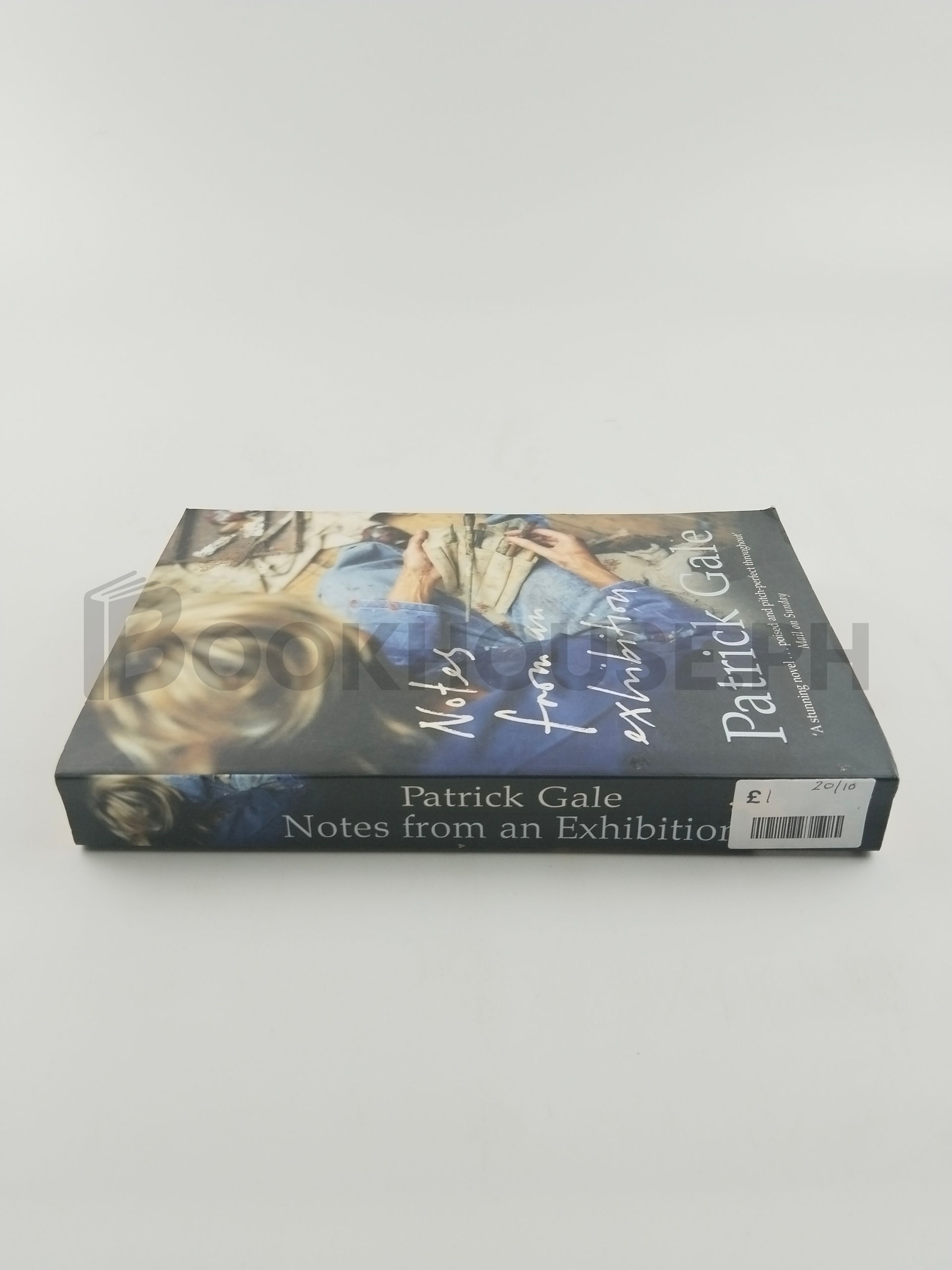 Notes From An Exhibition by Patrick Gale - Image 3