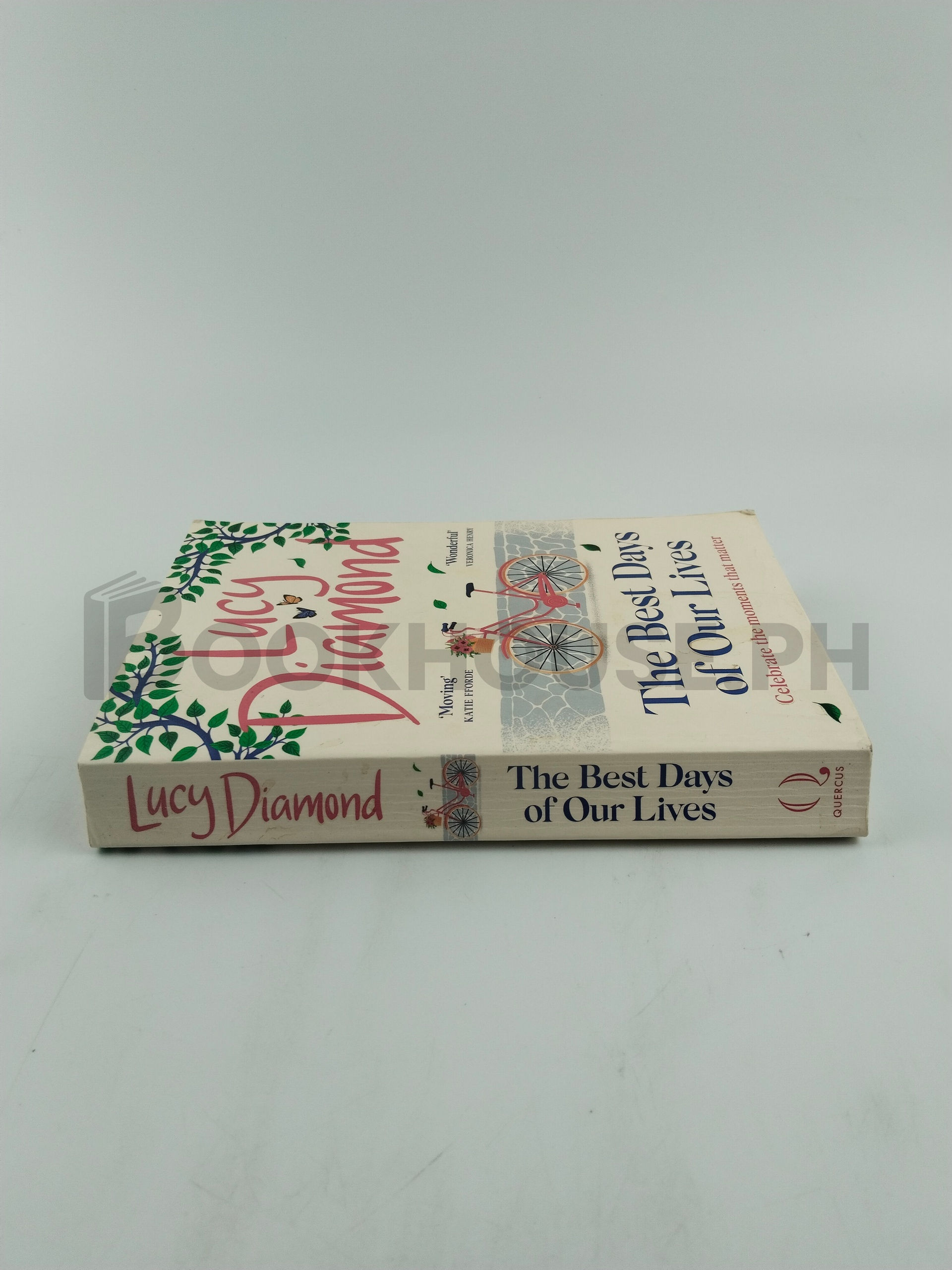 The Best Days Of Our Lives by Lucy Diamond - Image 3