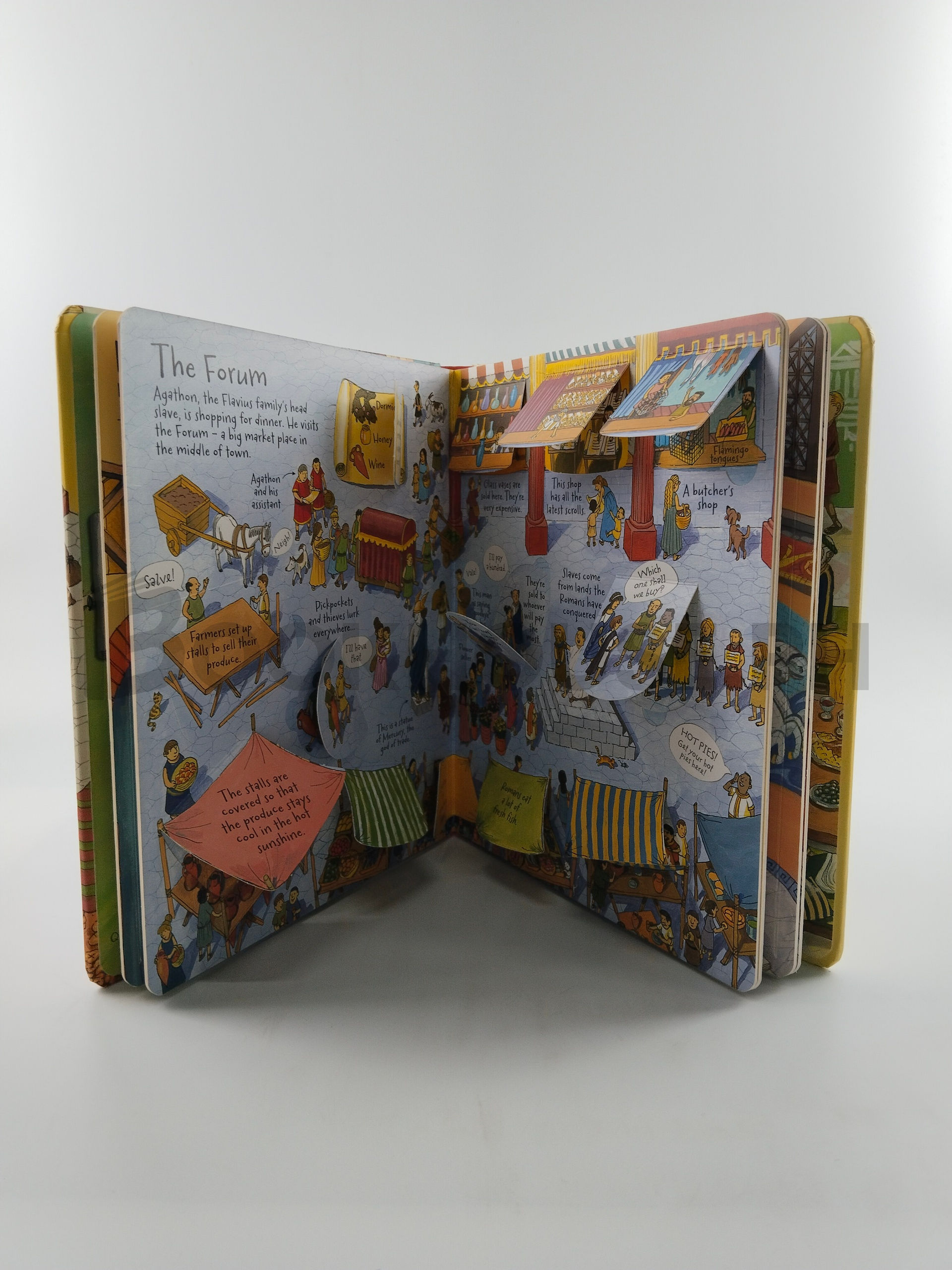 Look Inside Roman Town by Conrad Mason, Alfredo Belli - Image 5