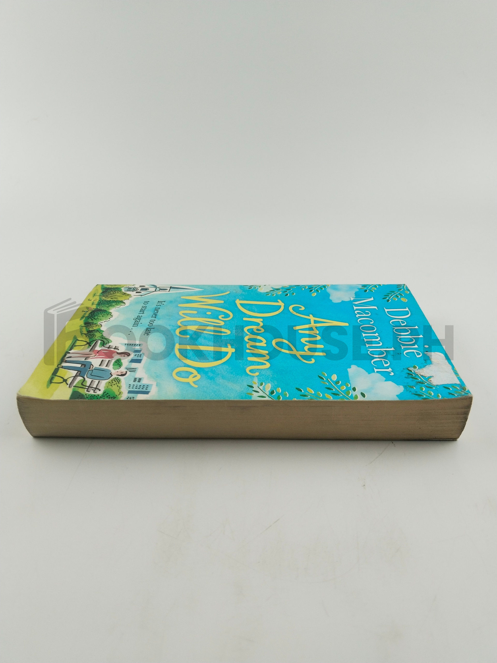 Any Dream Will Do by Debbie Macomber - Image 4