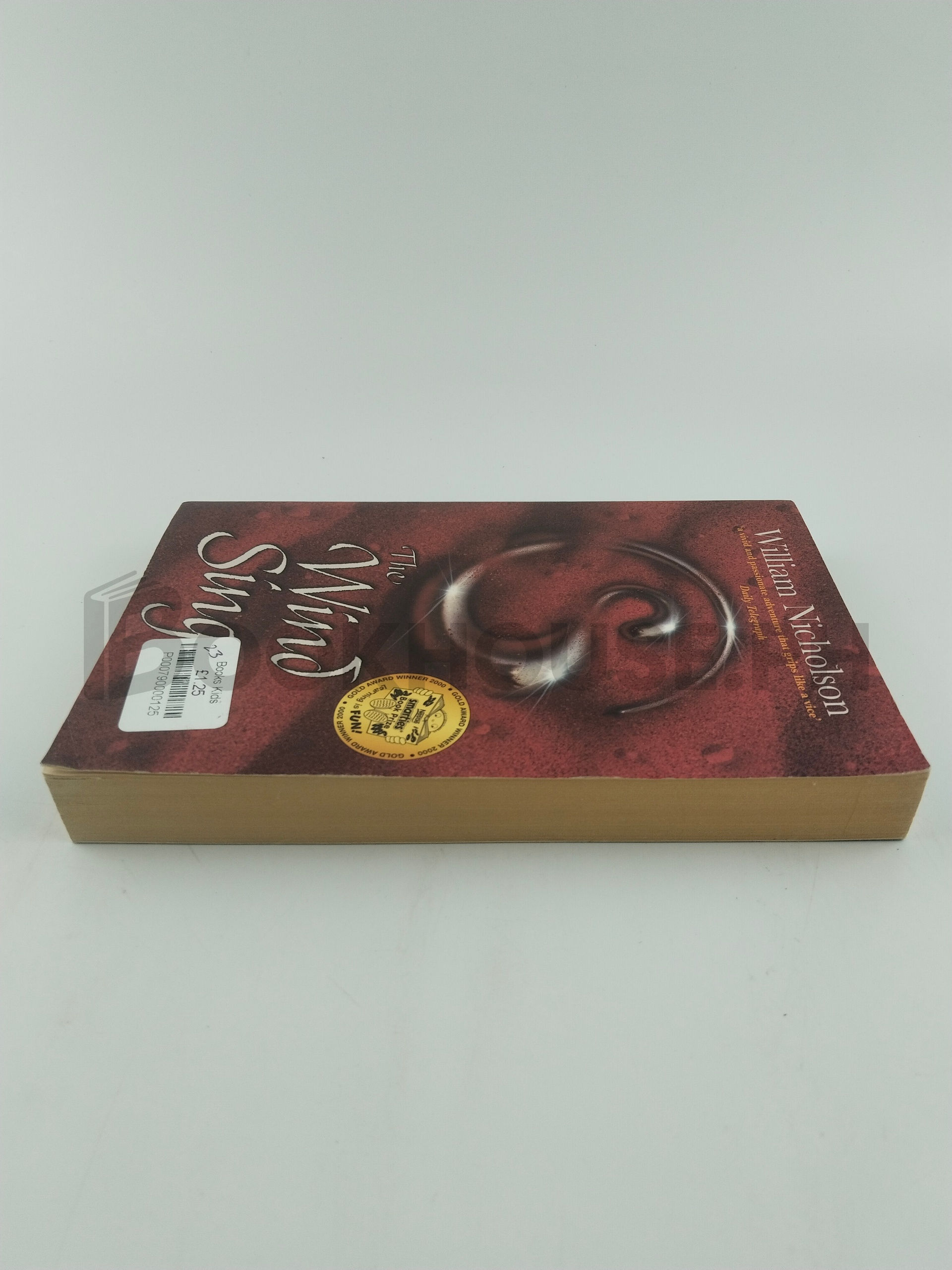 The Wind Singer - Book 1 - Wind On Fire by William Nicholson - Image 4