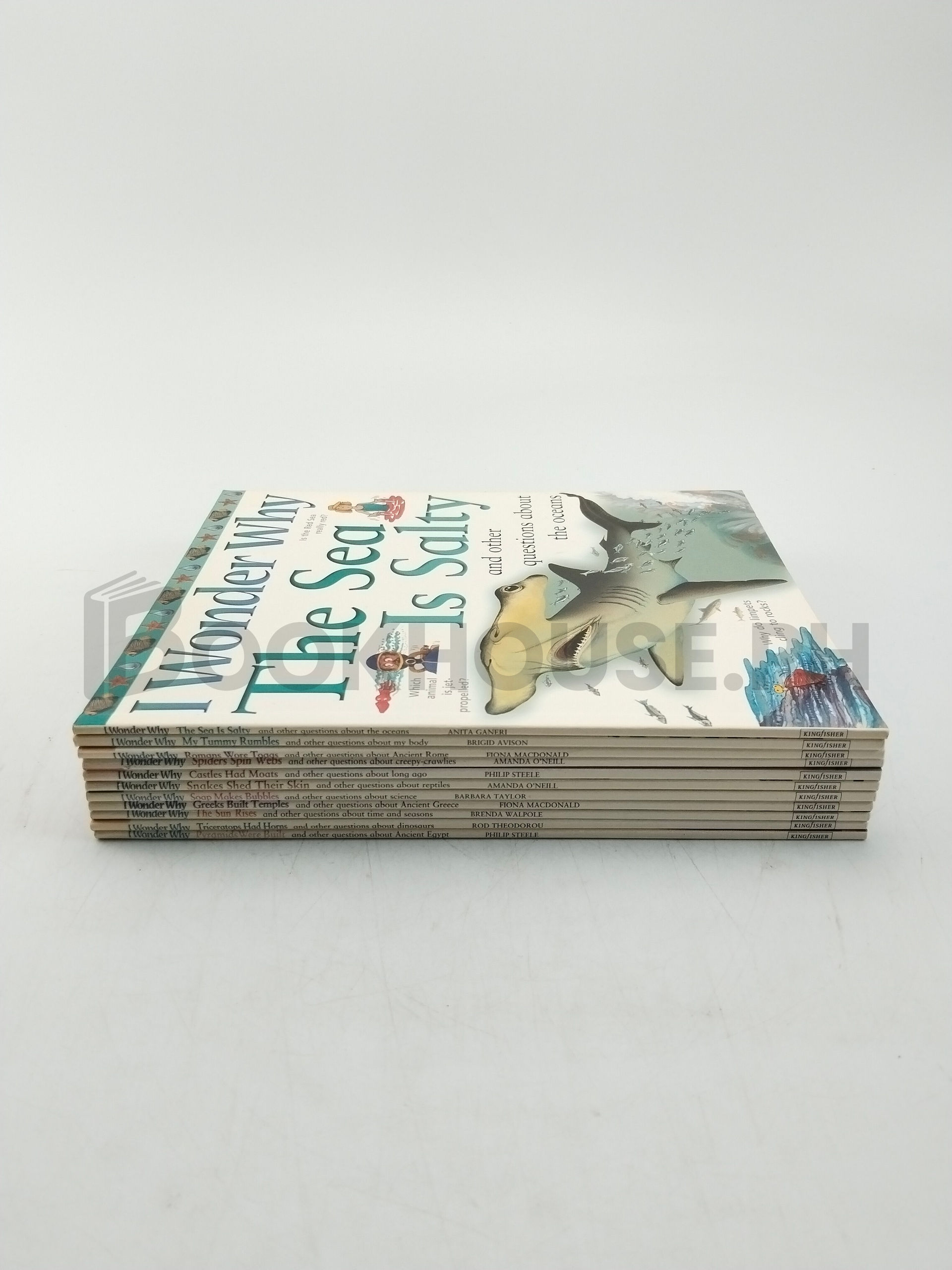 I Wonder Why by Kingfisher - Image 3