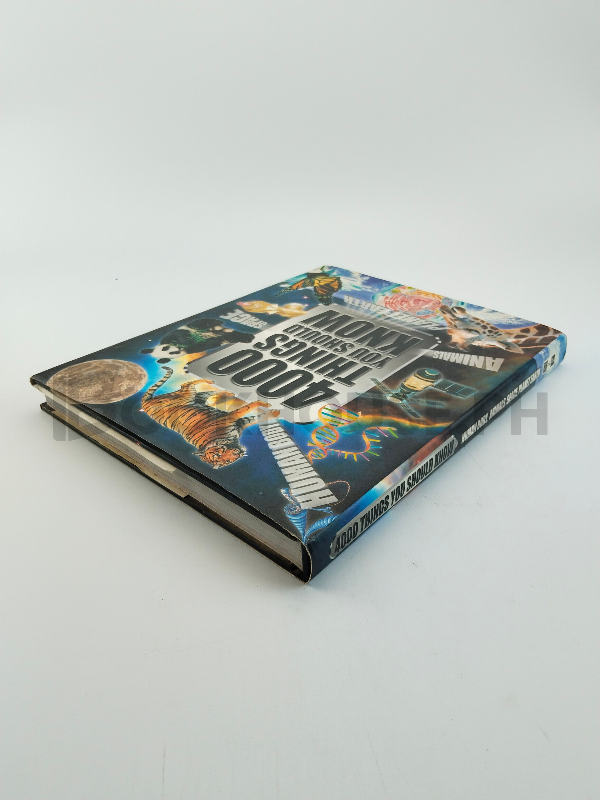 4000 Things You Should Know by John Farndon - Image 2