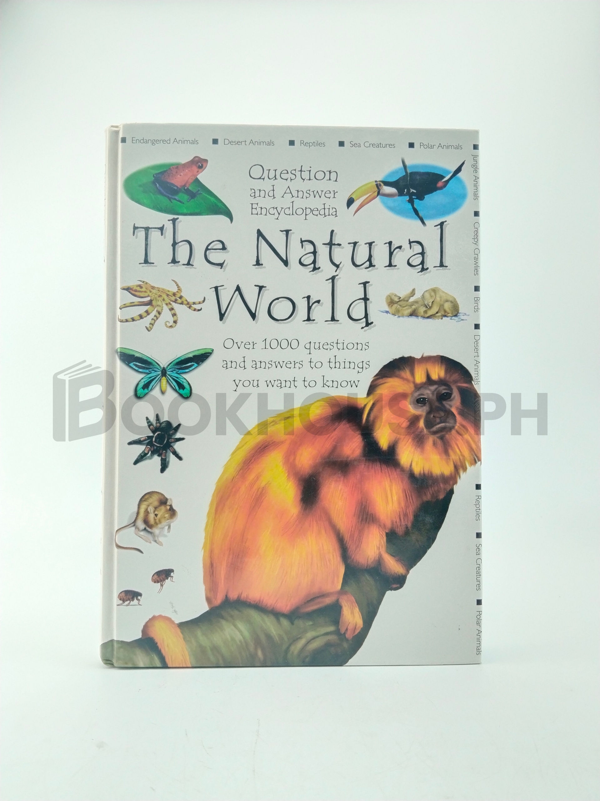 Q & A Natural World by Parragon Queen Street House