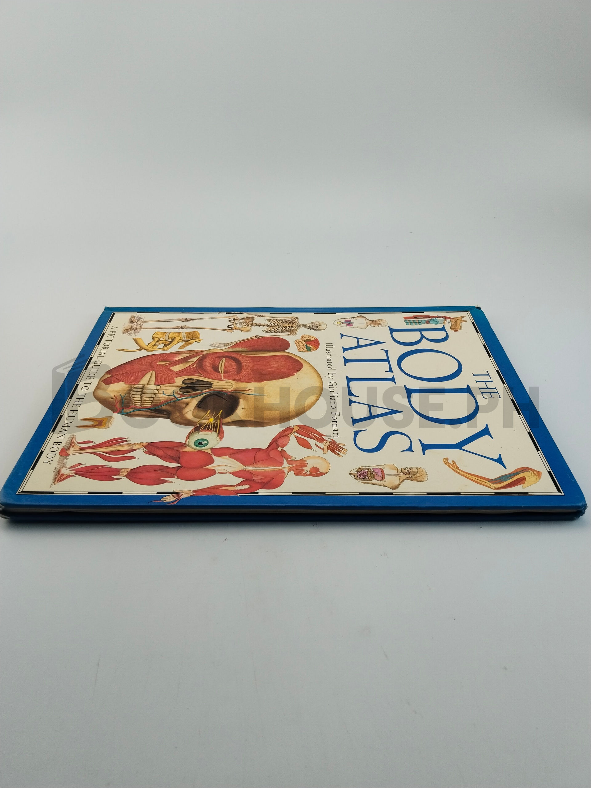 The Body Atlas by Steve Parker, Giuliano Fornari - Image 4