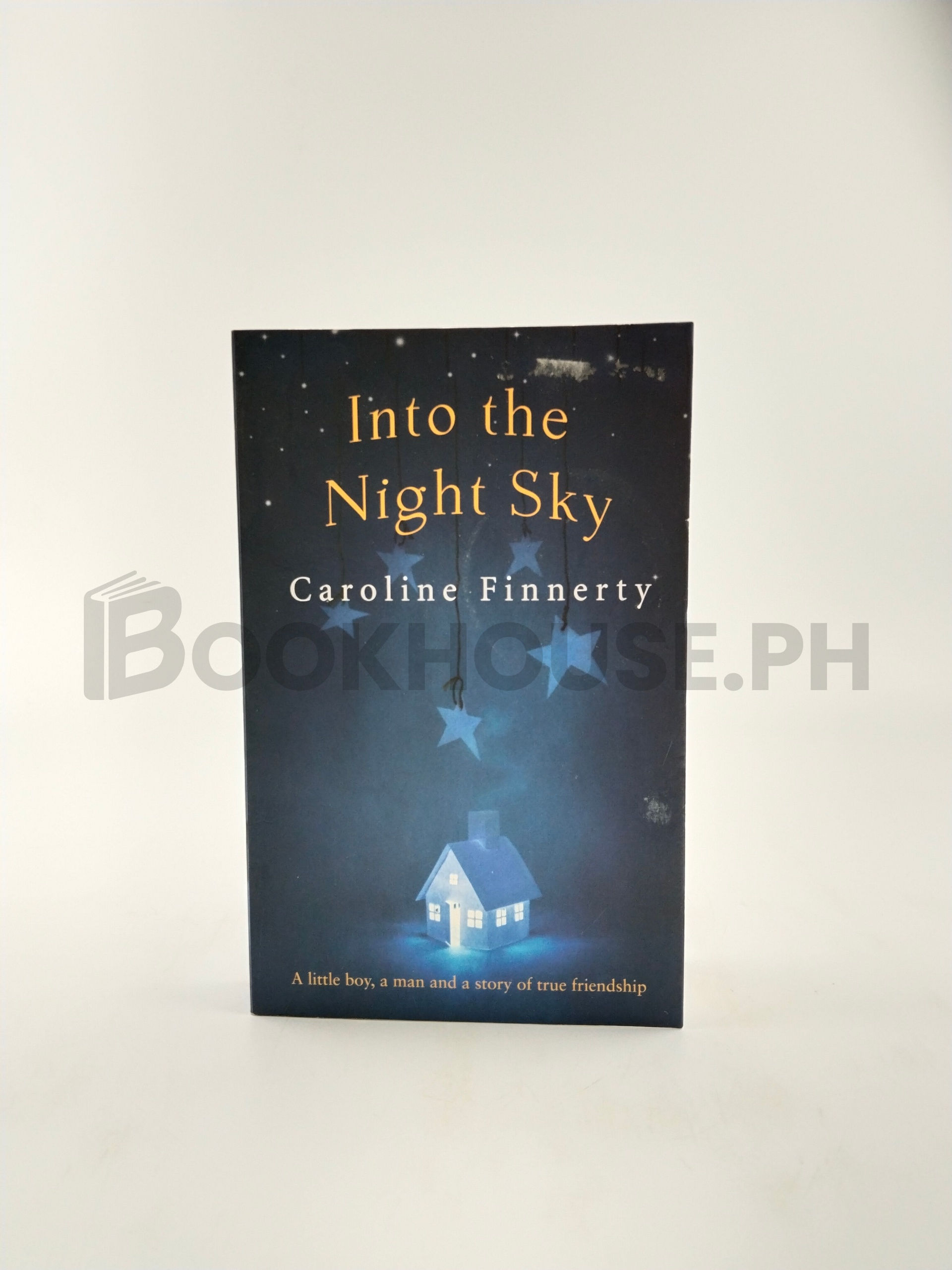 Into The Night Sky by Caroline Finnerty