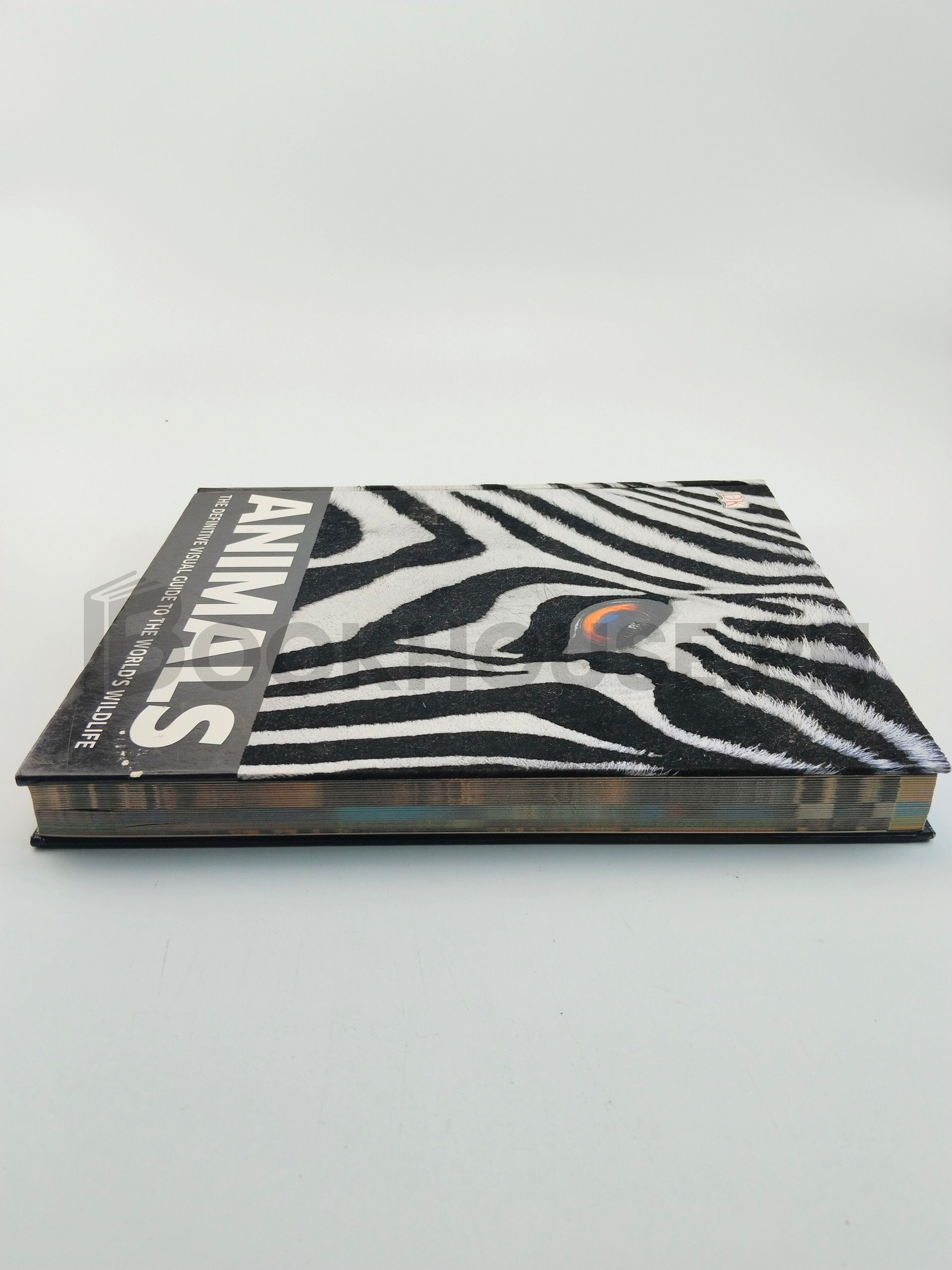 Animals by The Dorling Kindersley - Image 4