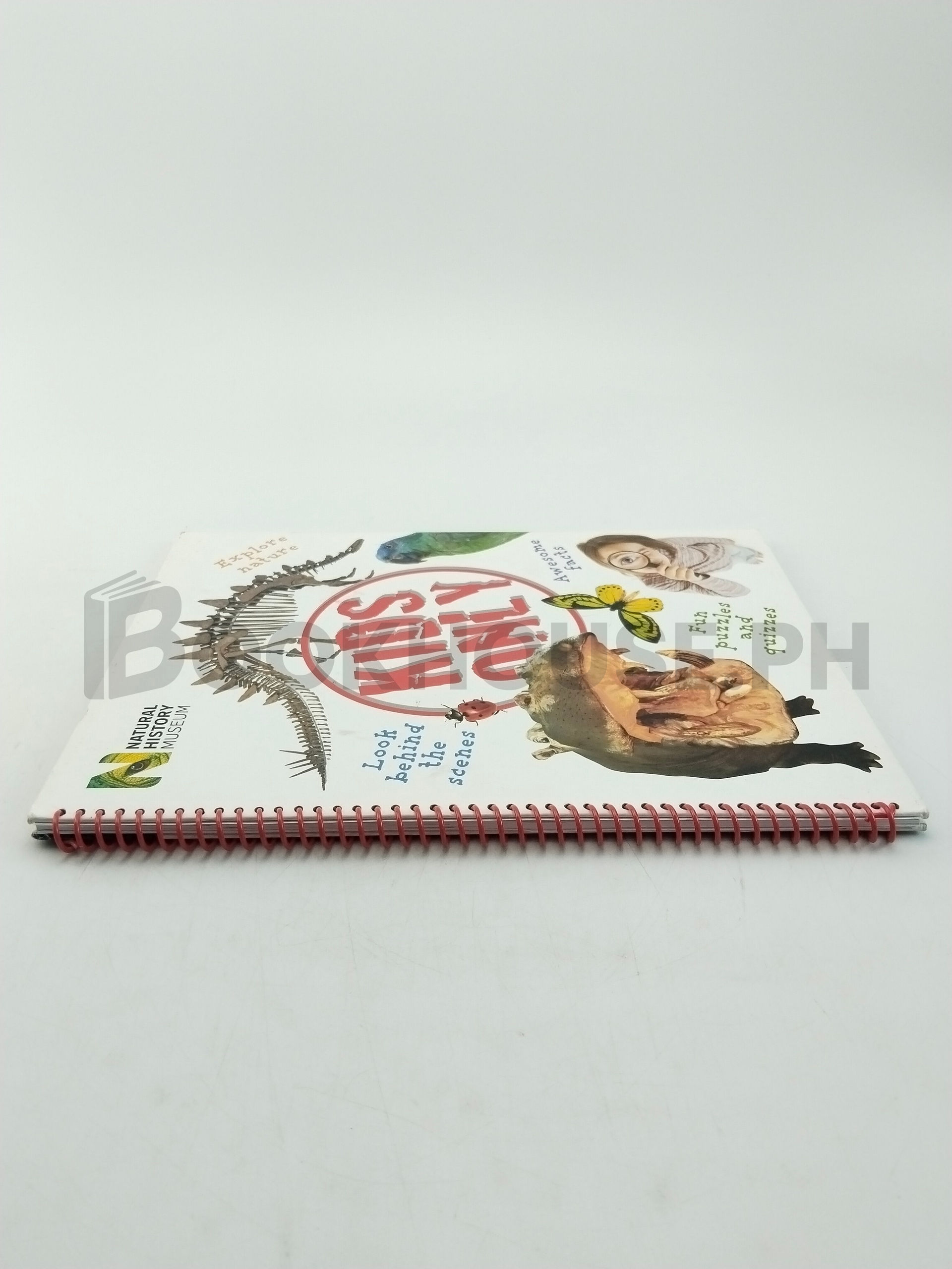 Kids Only by Miranda Macquitty - Image 3