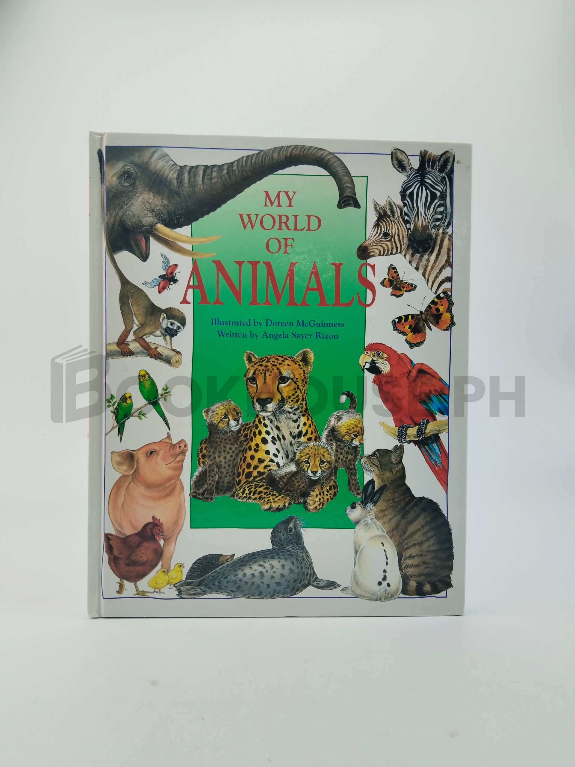 My World Of Animals by Angela Sayer Rixon