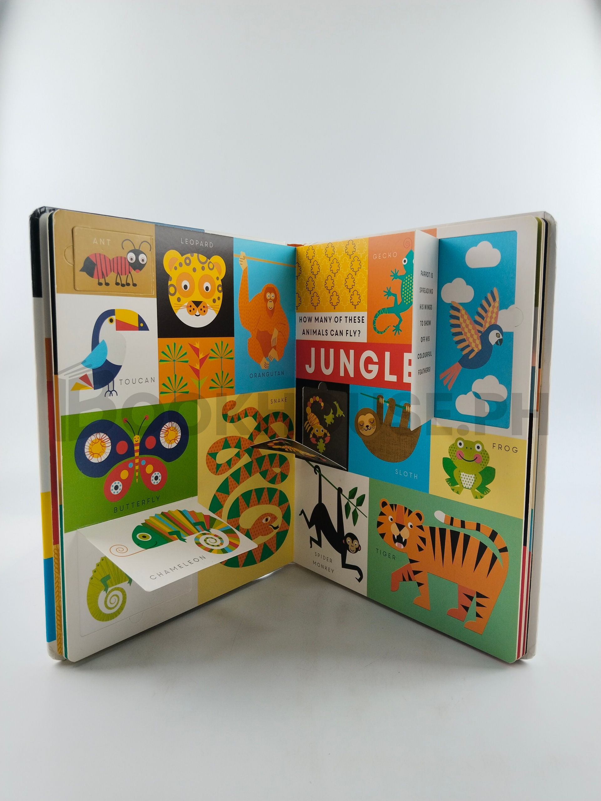 Lift The Flap Animals by Hannah Sime - Image 5