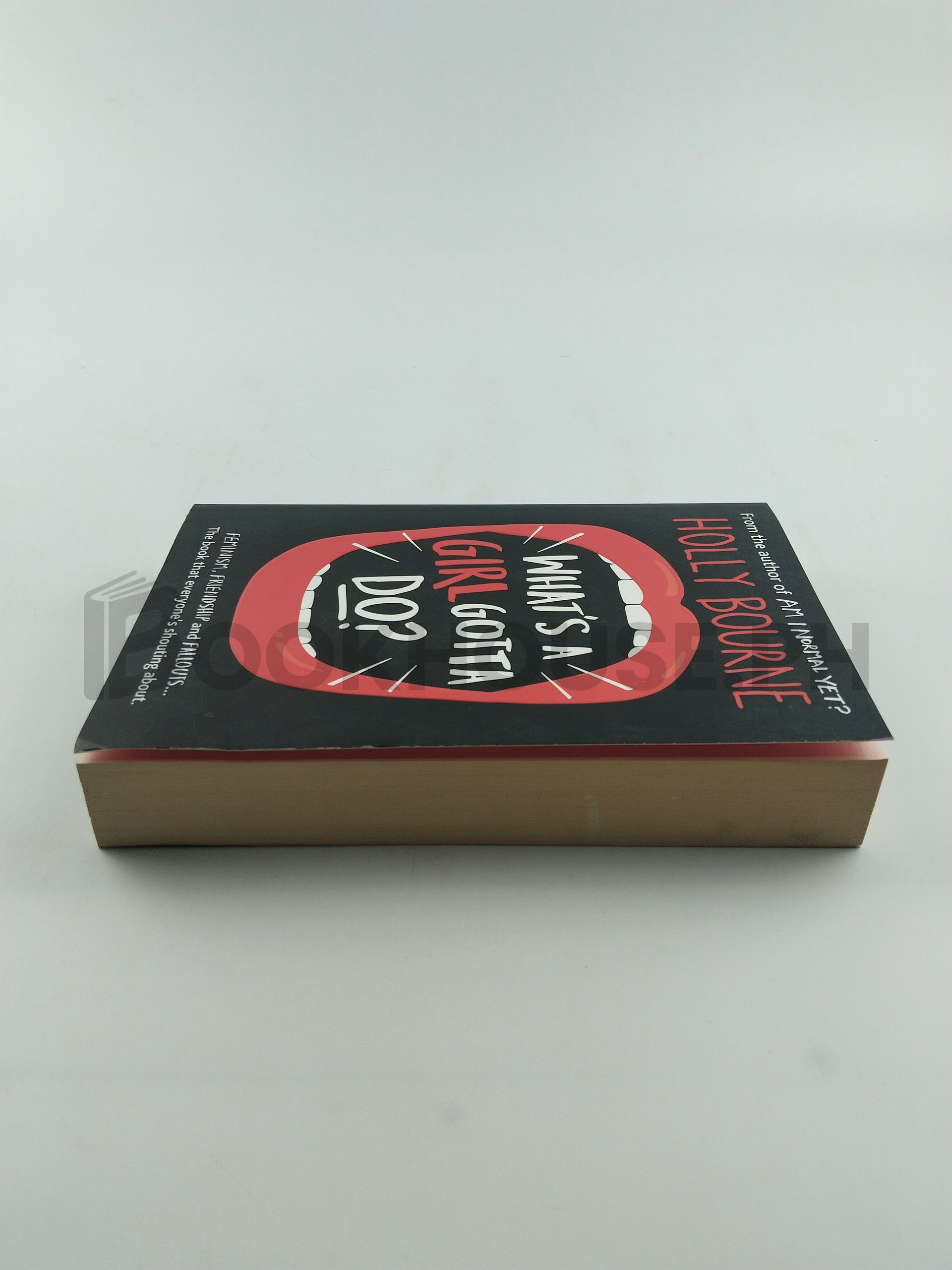 What's A Girl Gotta Do? by Holly Bourne - Image 4