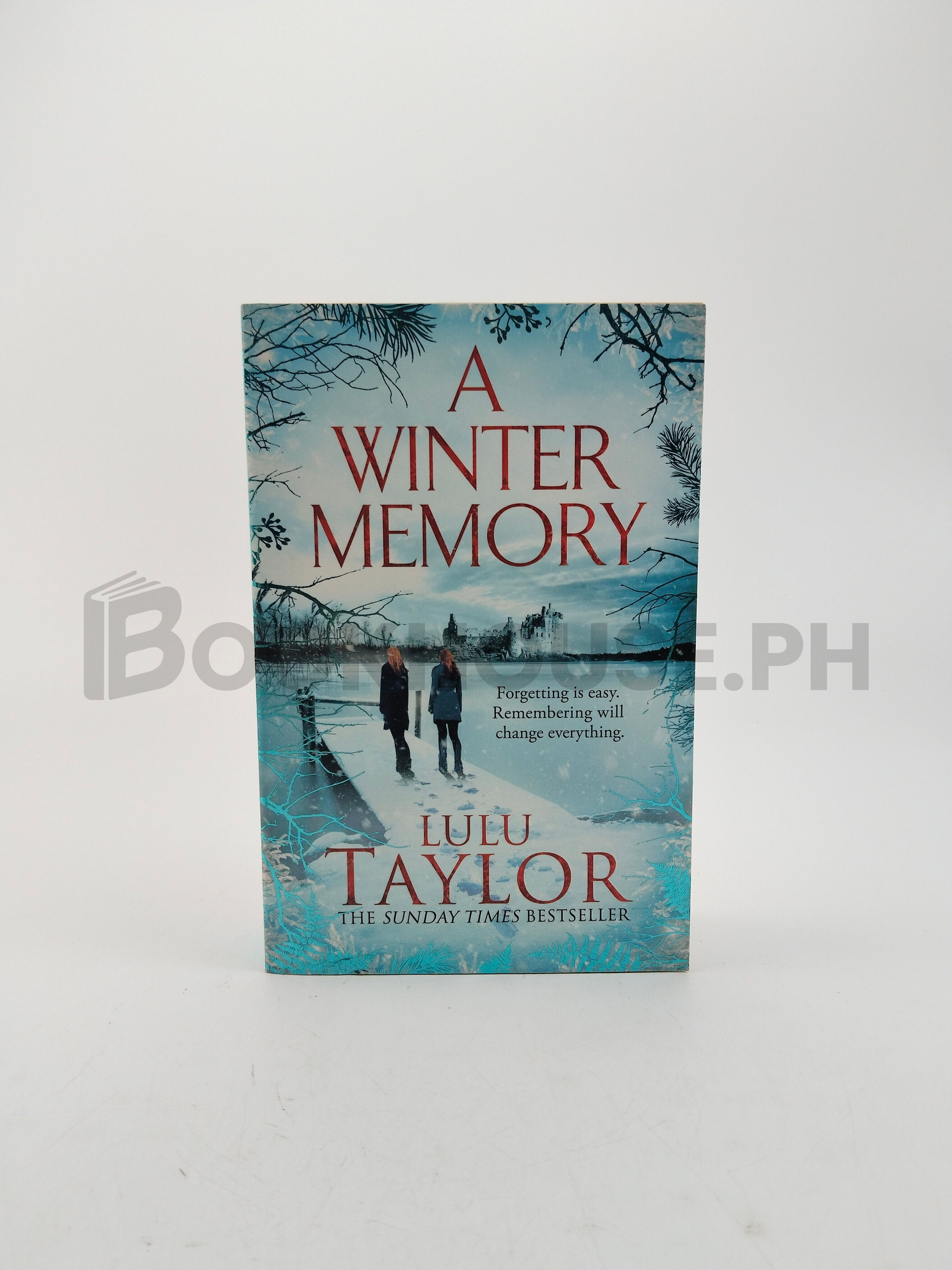 A Winter Memory by Lulu Taylor