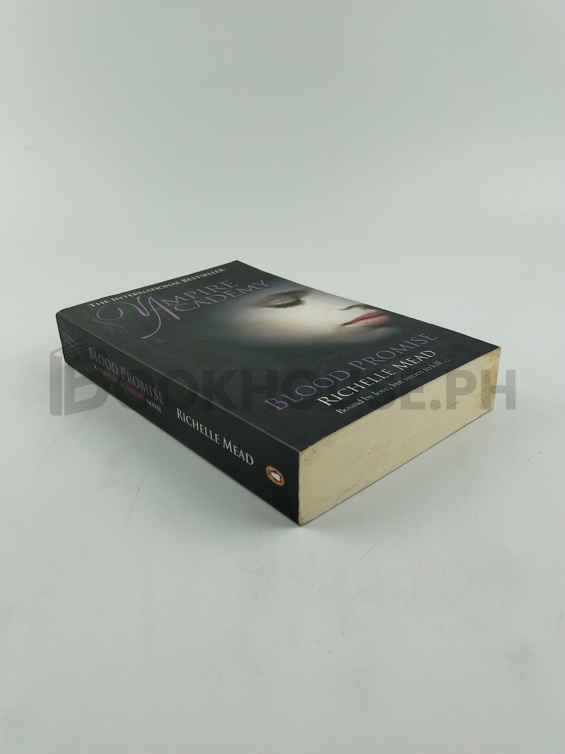 Vampire Academy by Richelle Mead - Image 2