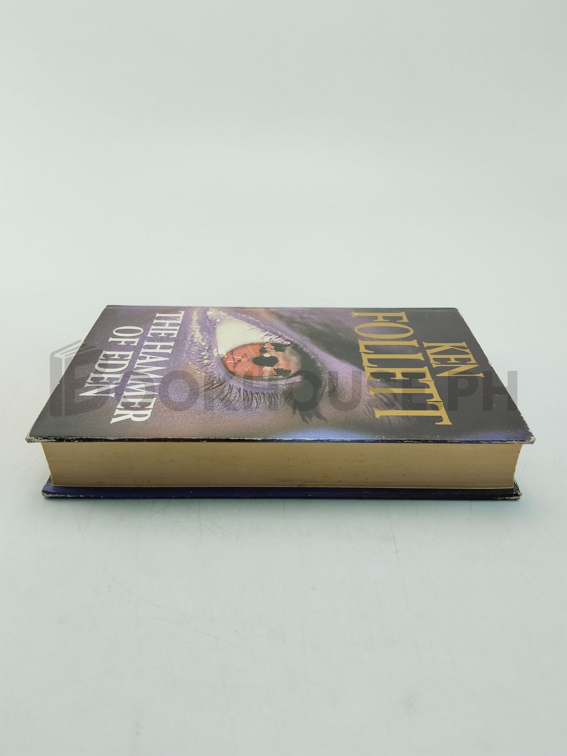 The Hammer Of Eden by Ken Follett - Image 4