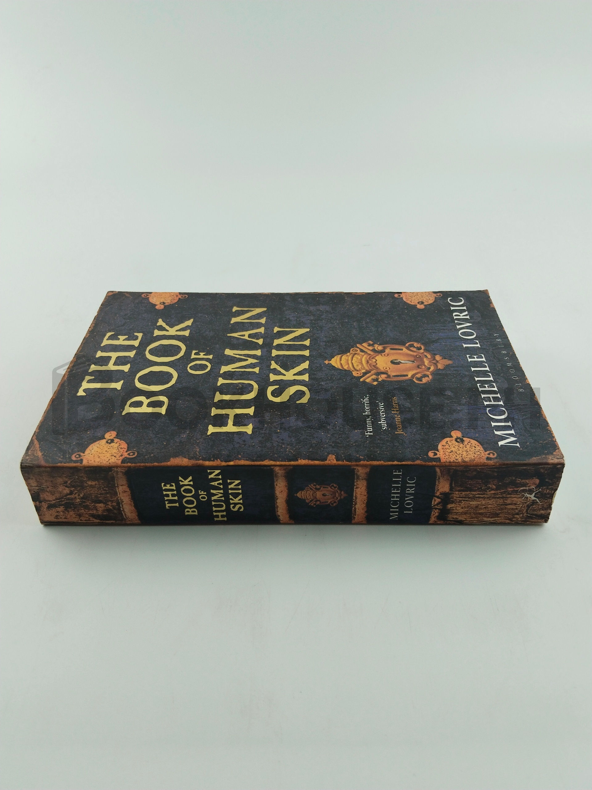 The Book Of Human Skin by Michelle Lovric - Image 3