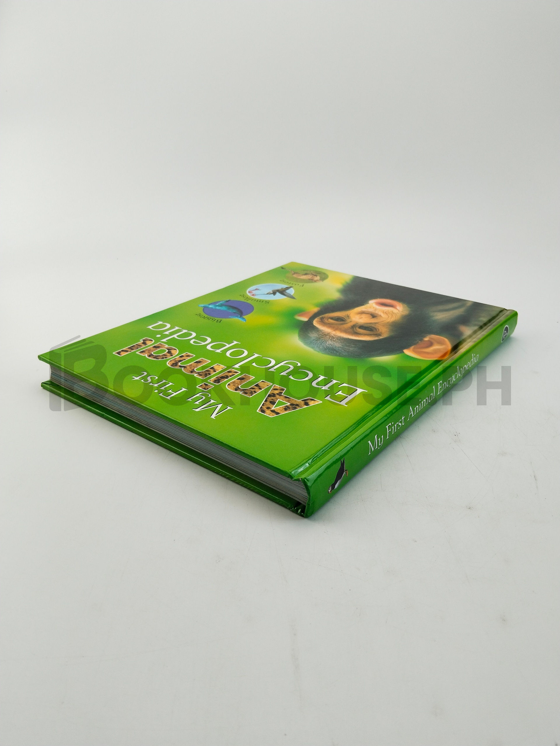 My First Animal Encyclopedia by Parragon Book Service Limited, Sally Morgan - Image 2