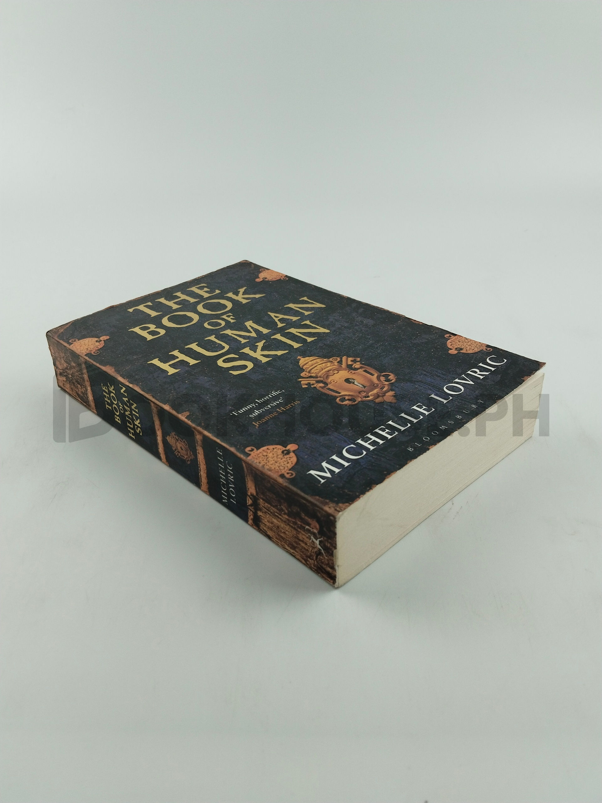 The Book Of Human Skin by Michelle Lovric - Image 2