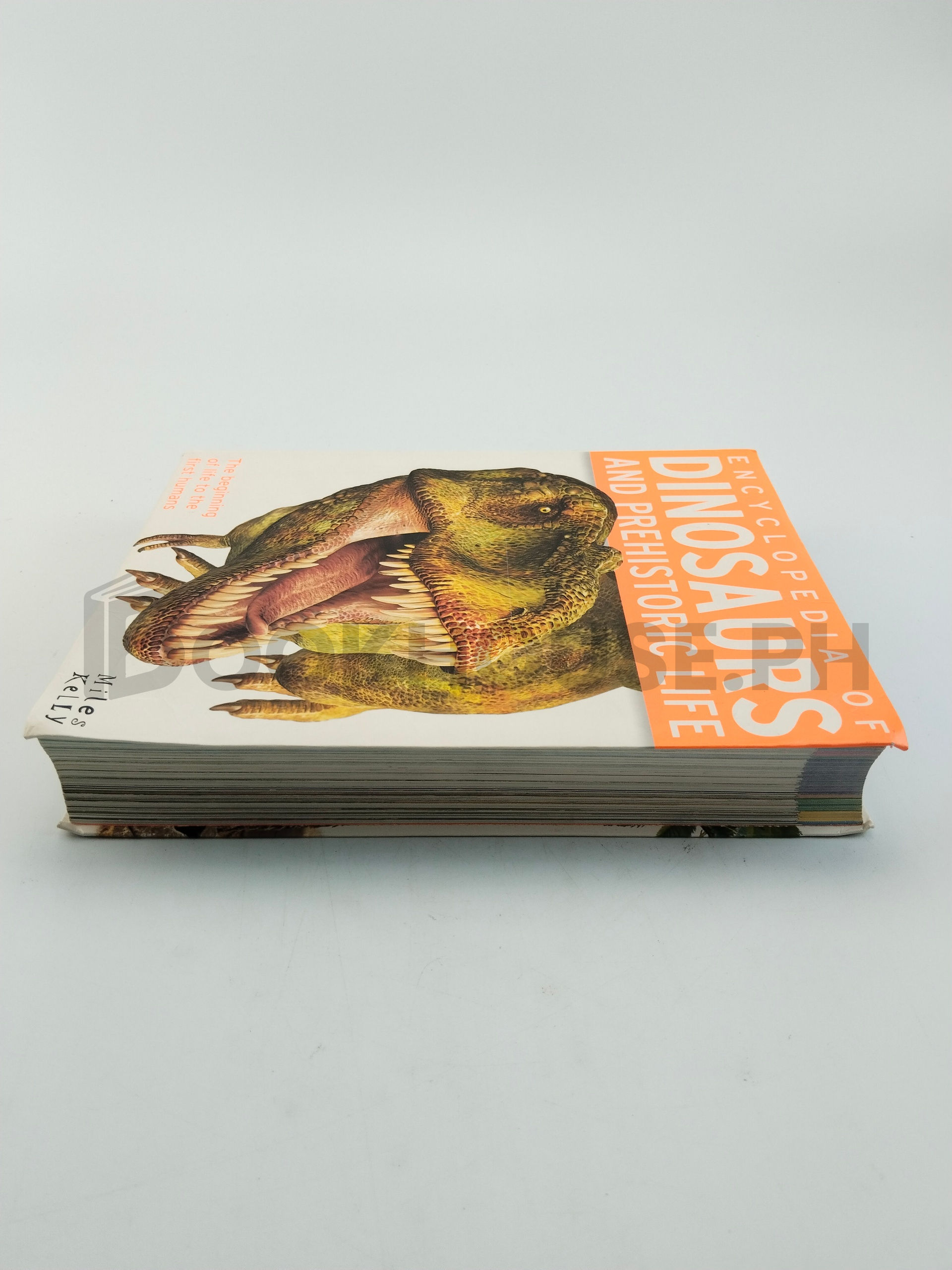 Dinosaurs And Prehistoric Life by Miles Kelly - Image 4