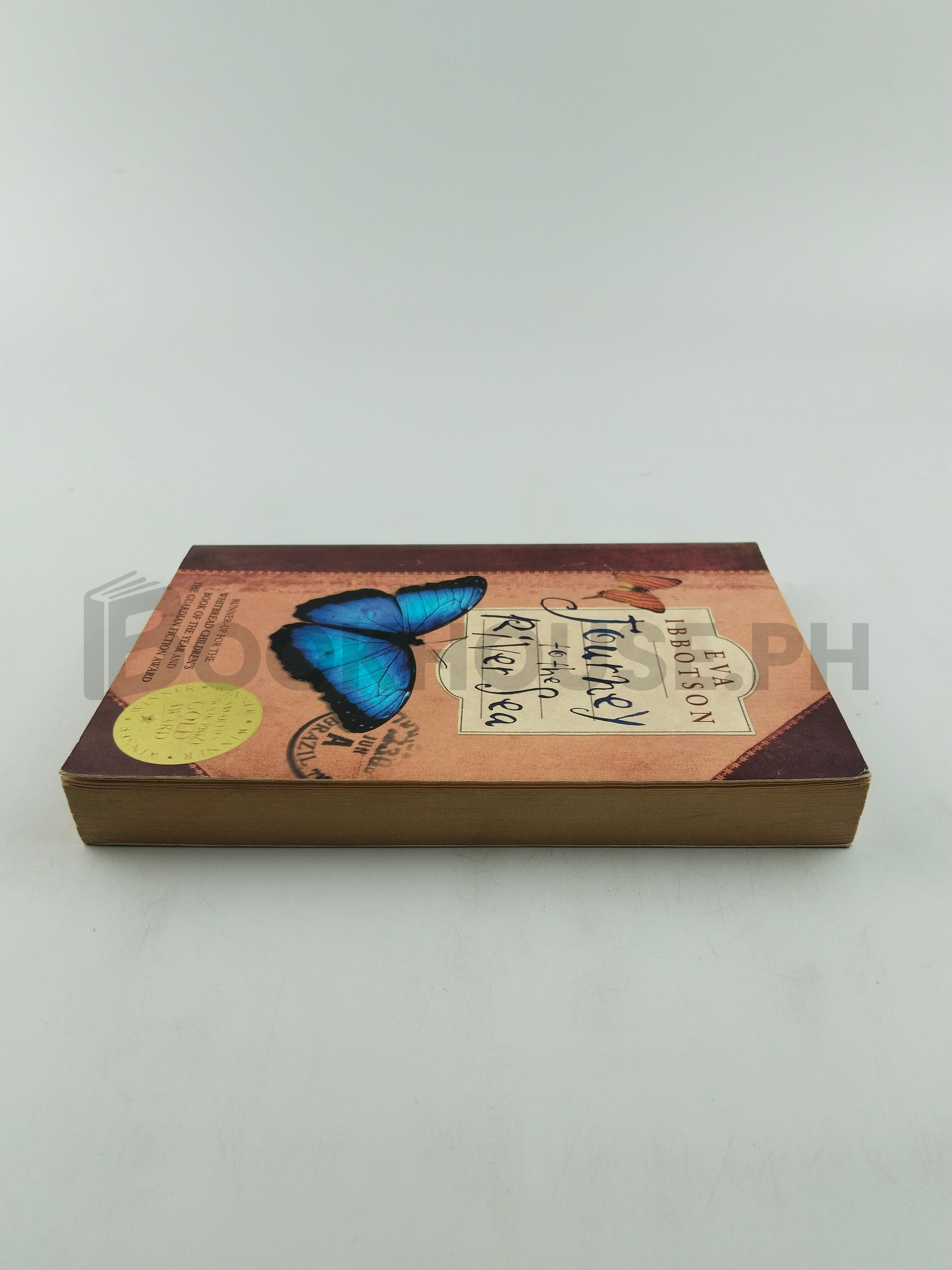 Journey To The River Sea by Eva Ibbotson - Image 4