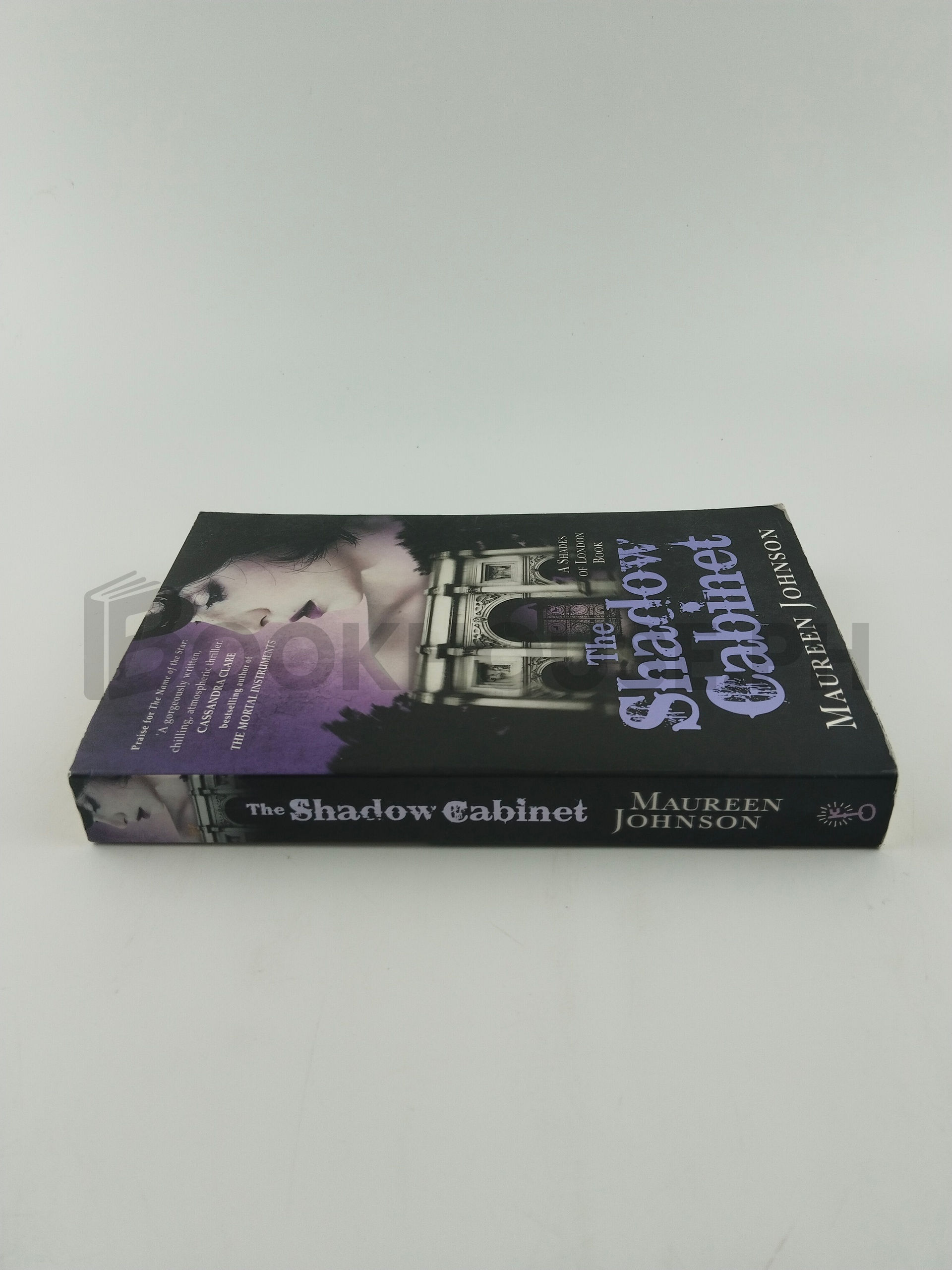 The Shadow Cabinet by Maureen Johnson - Image 3