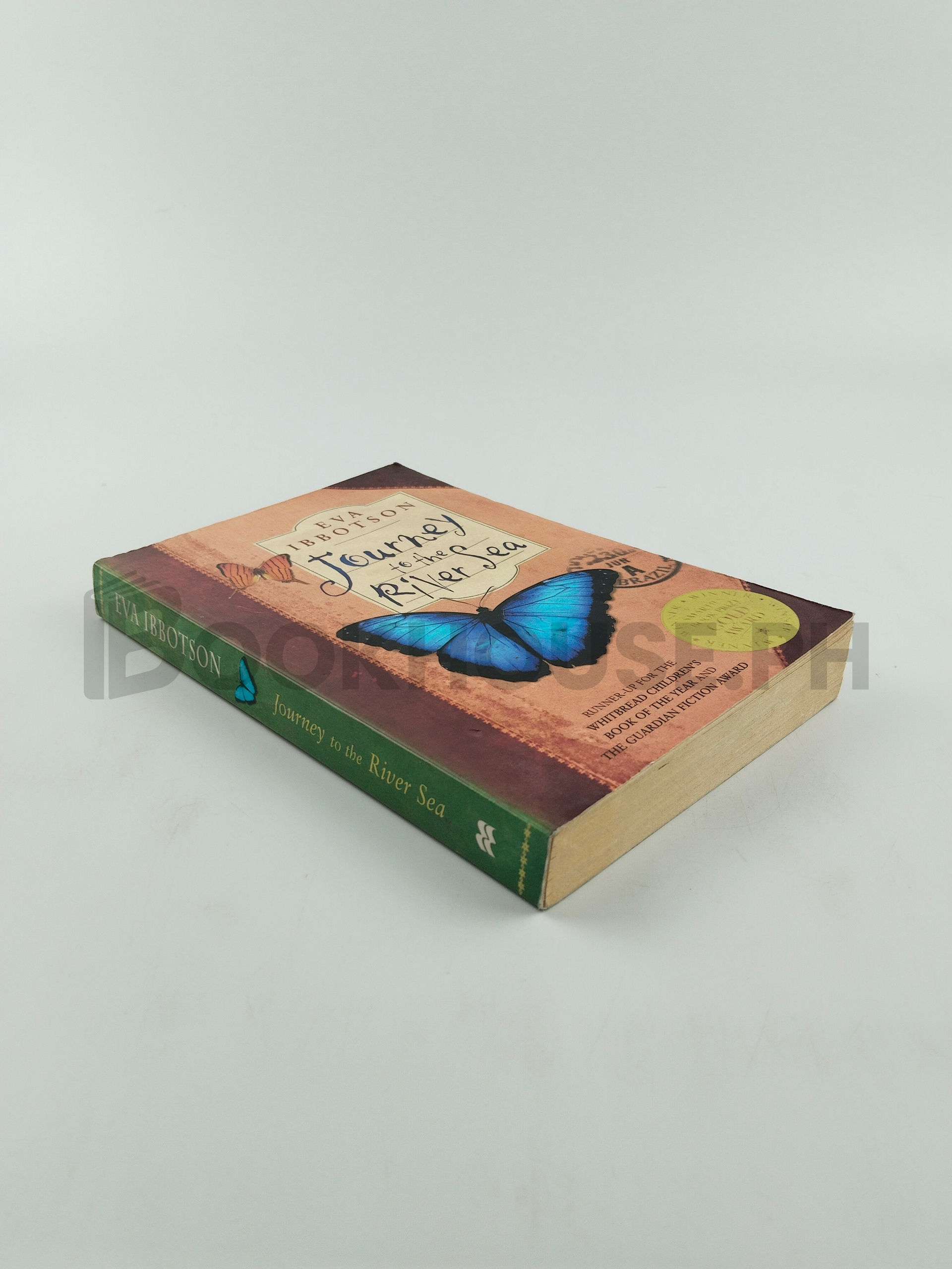 Journey To The River Sea by Eva Ibbotson - Image 2