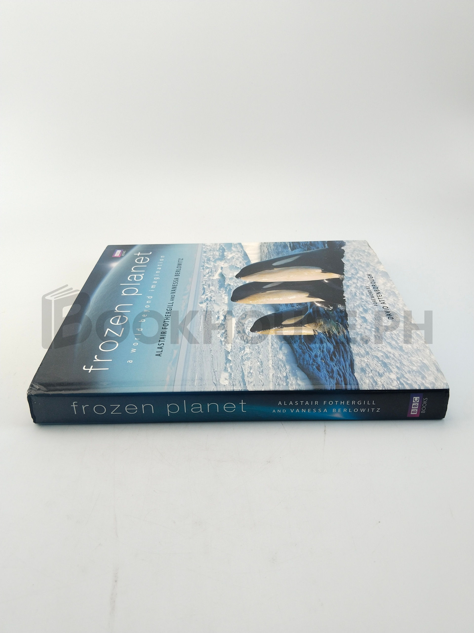 Frozen Planet by Alastair Fothergill, Vanessa Berlowitz - Image 3