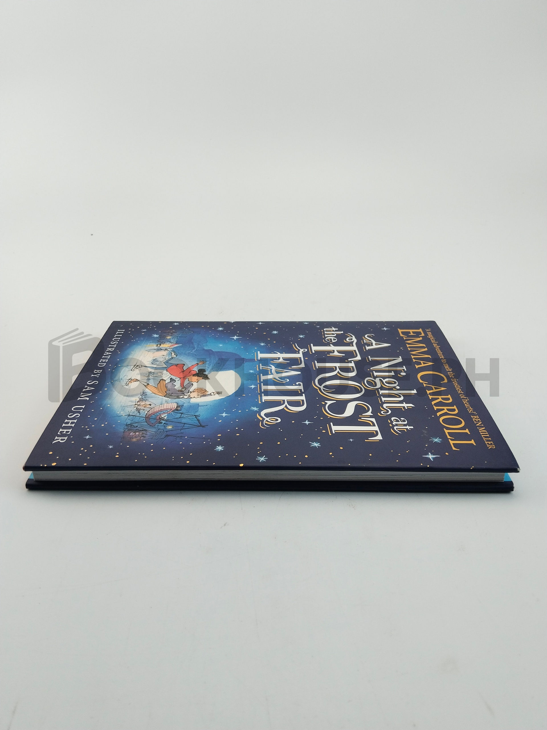 A Night At The Frost Fair by Emma Carroll - Image 4