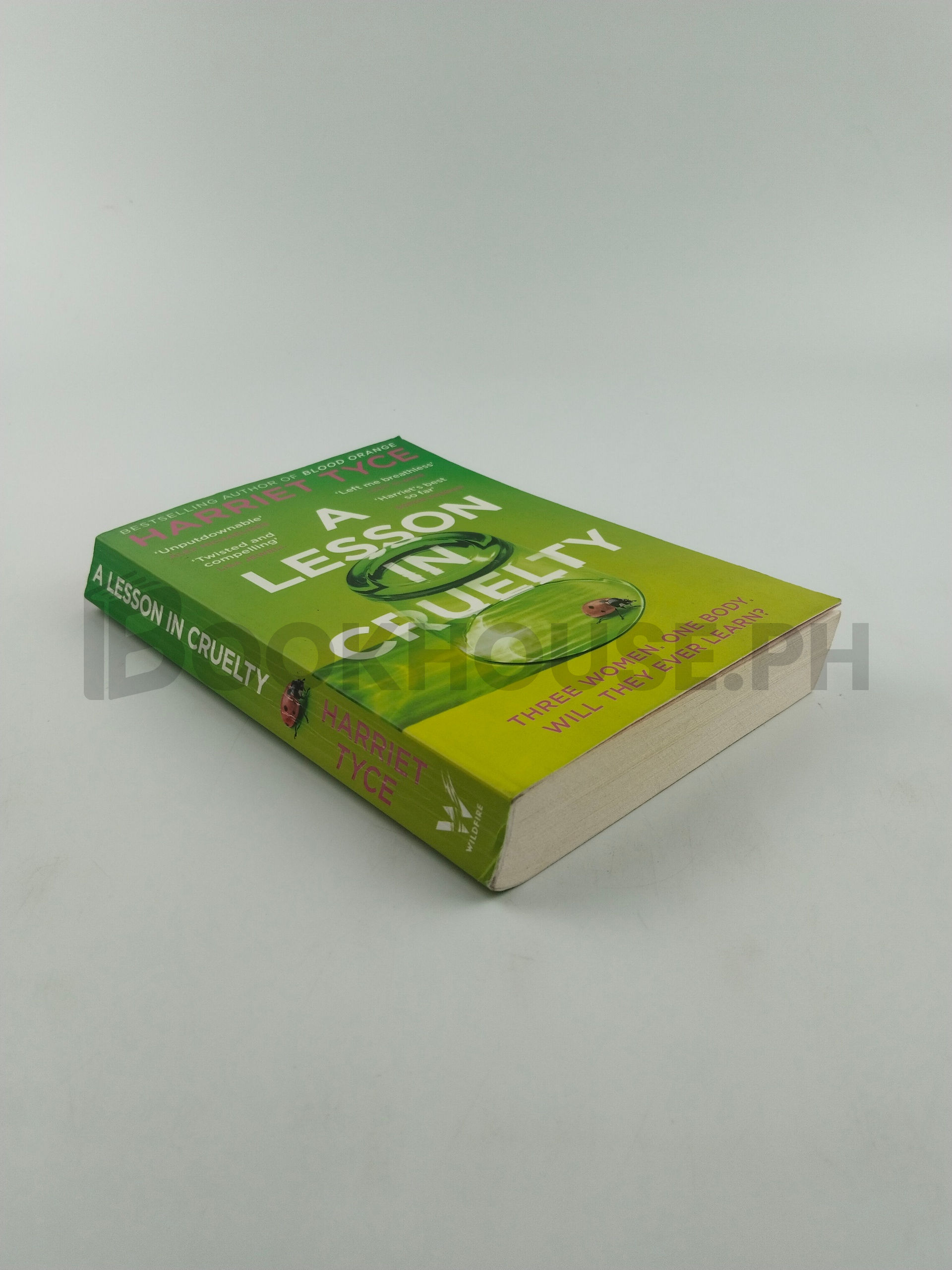 A Lesson In Cruelty by Harriet Tyce - Image 2