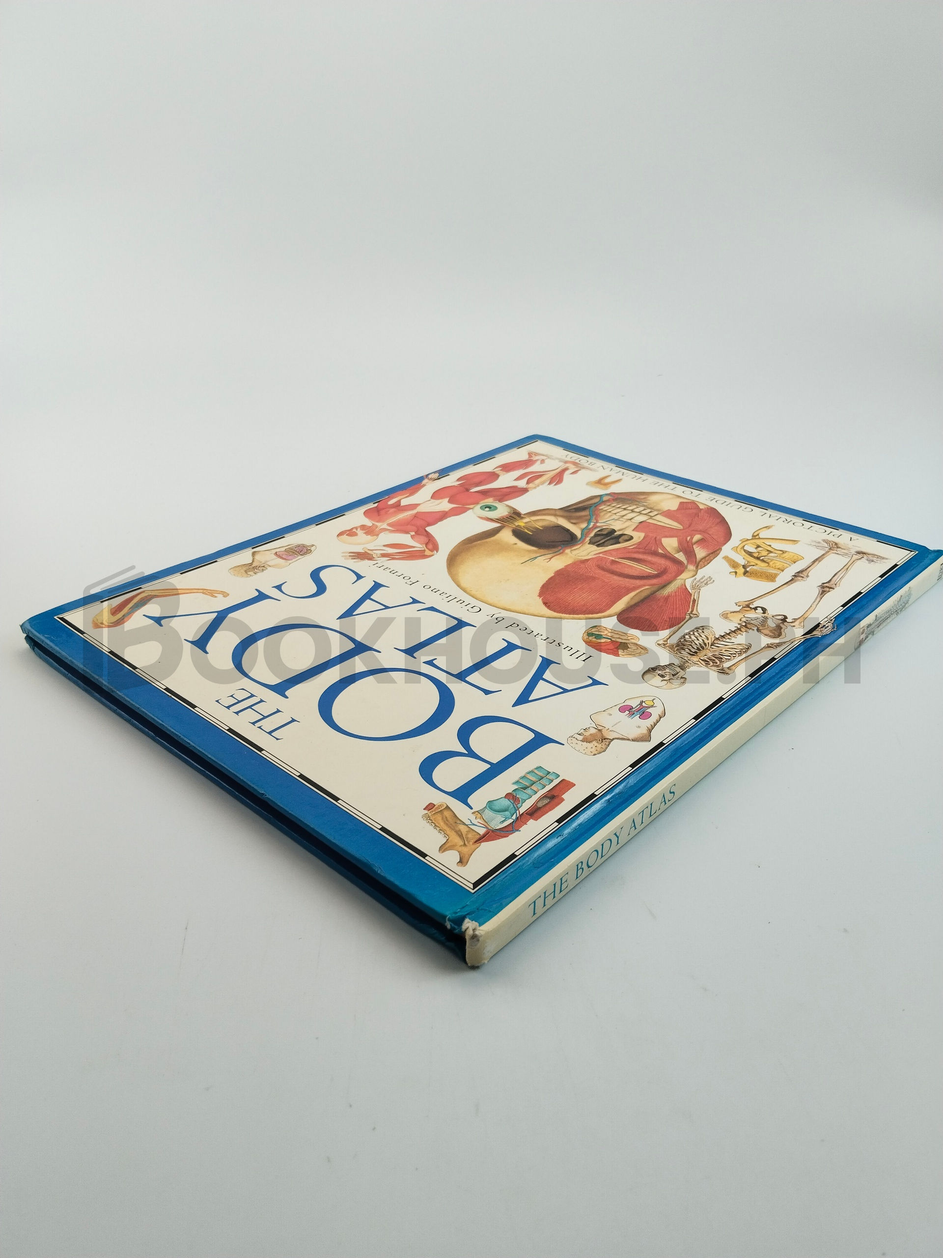 The Body Atlas by Steve Parker, Giuliano Fornari - Image 2