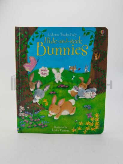 Hide Seek Bunnies by Fiona Watt, Lesley Danson