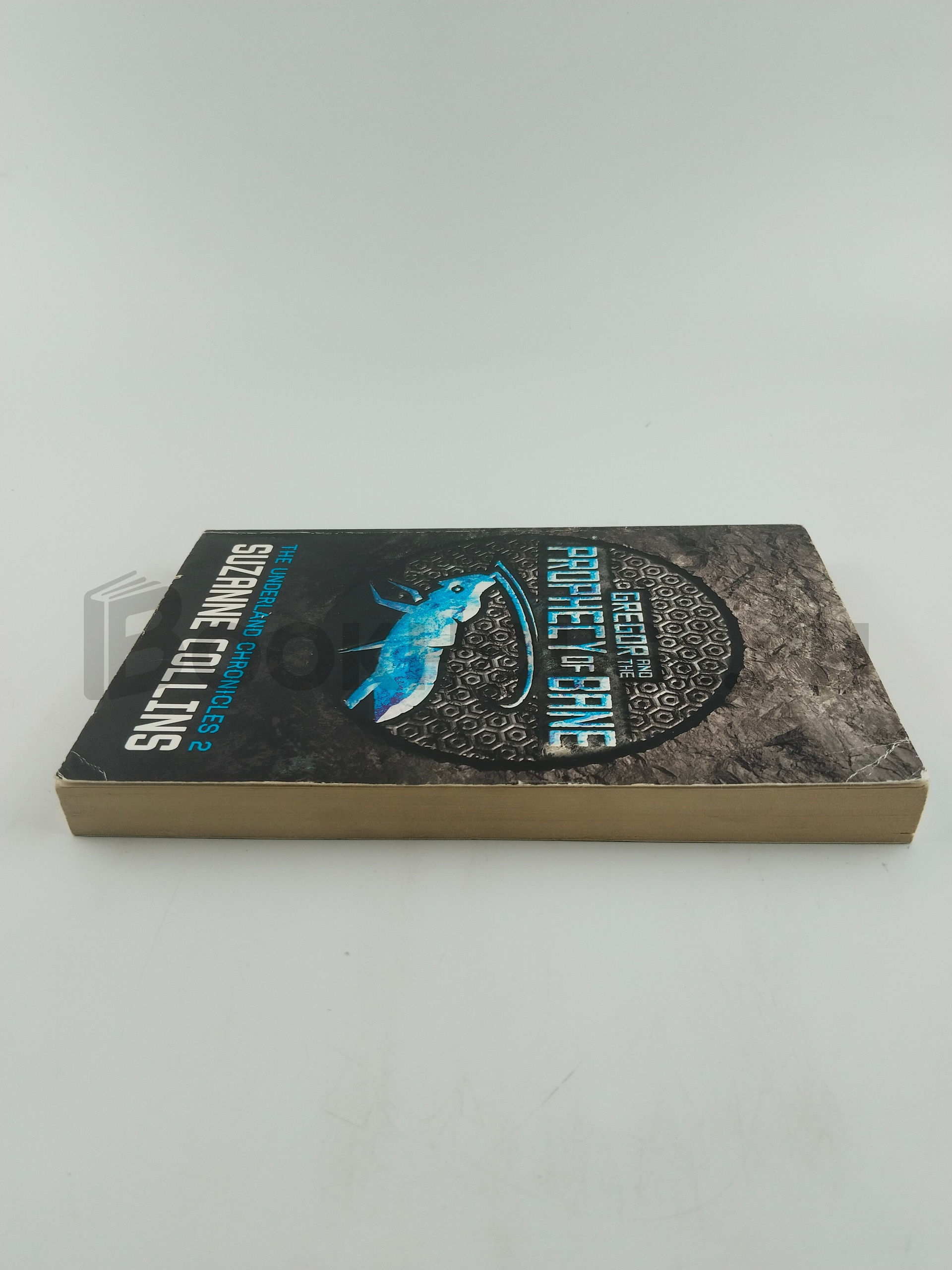 Gregor And The Prophecy Of Bane by Suzanne Collins - Image 4