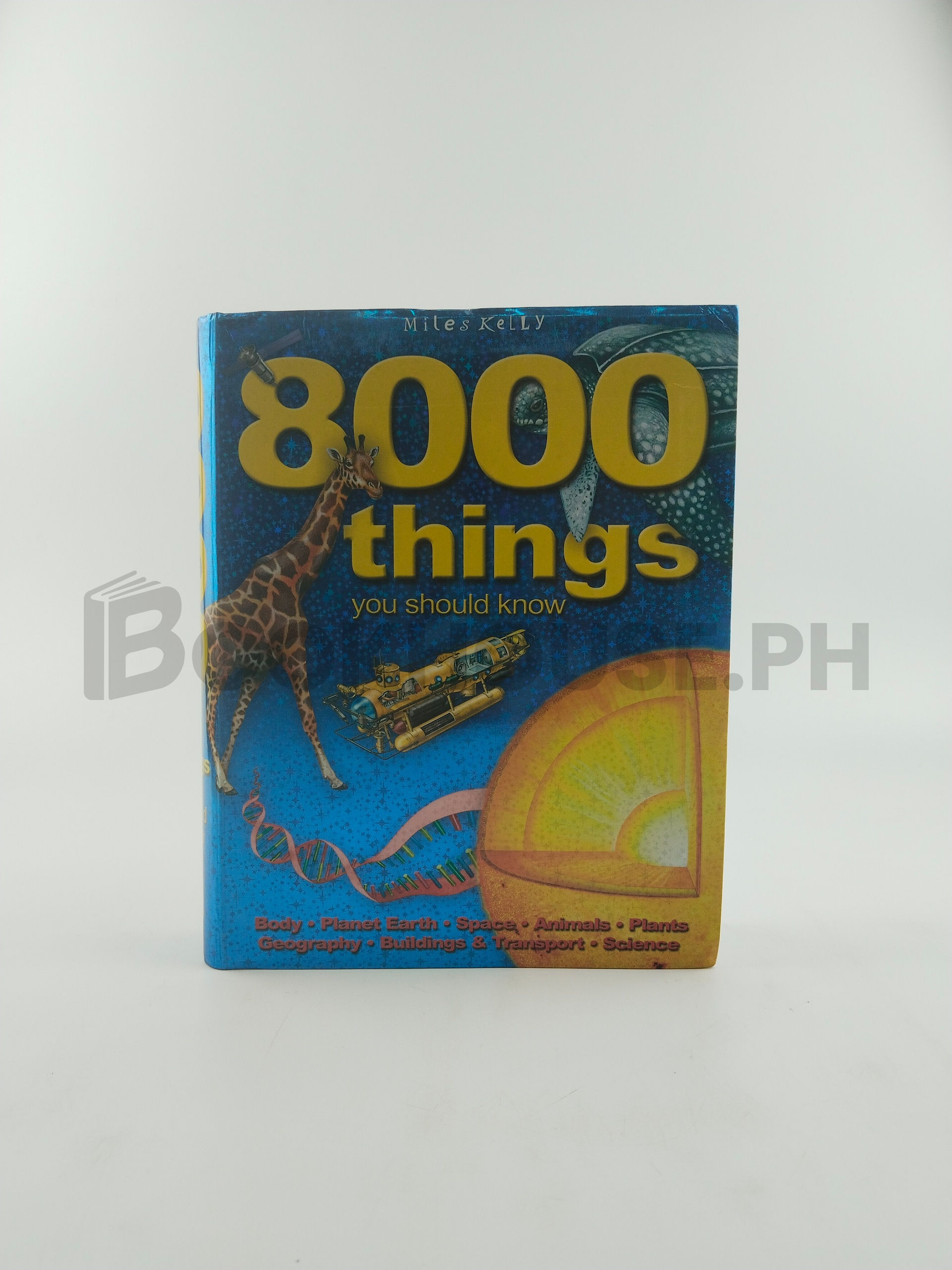 8000 Things You Should Know by Miles Kelly