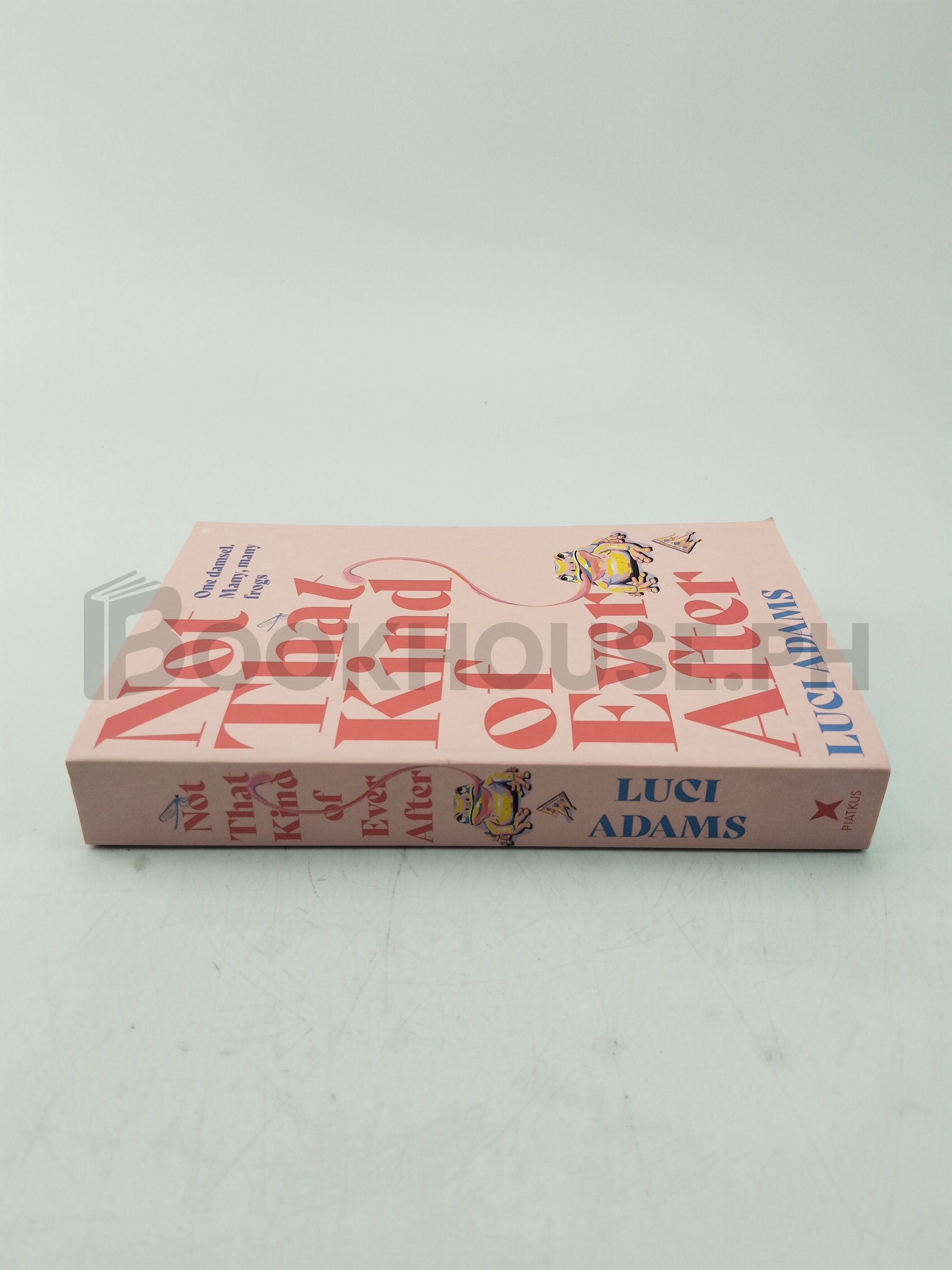 Not That Kind Of Ever After by Luci Adams - Image 3