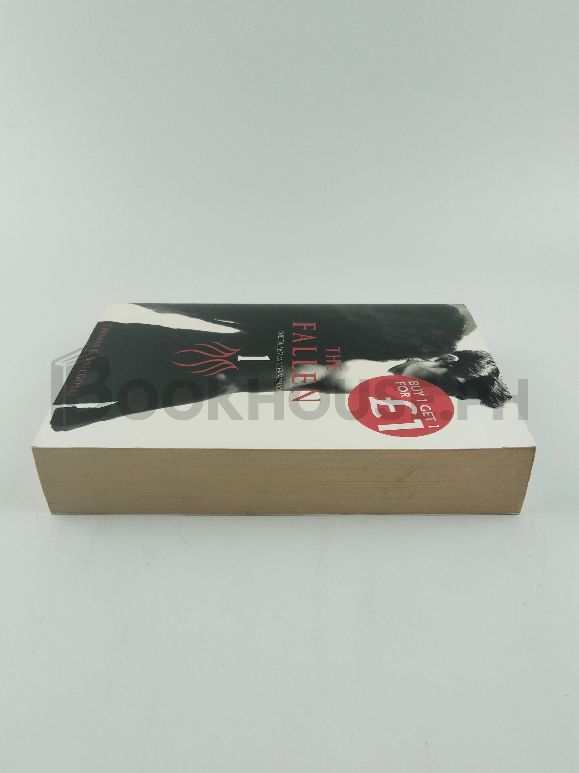 The Fallen And Leviathan by Tom Sniegoski - Image 4