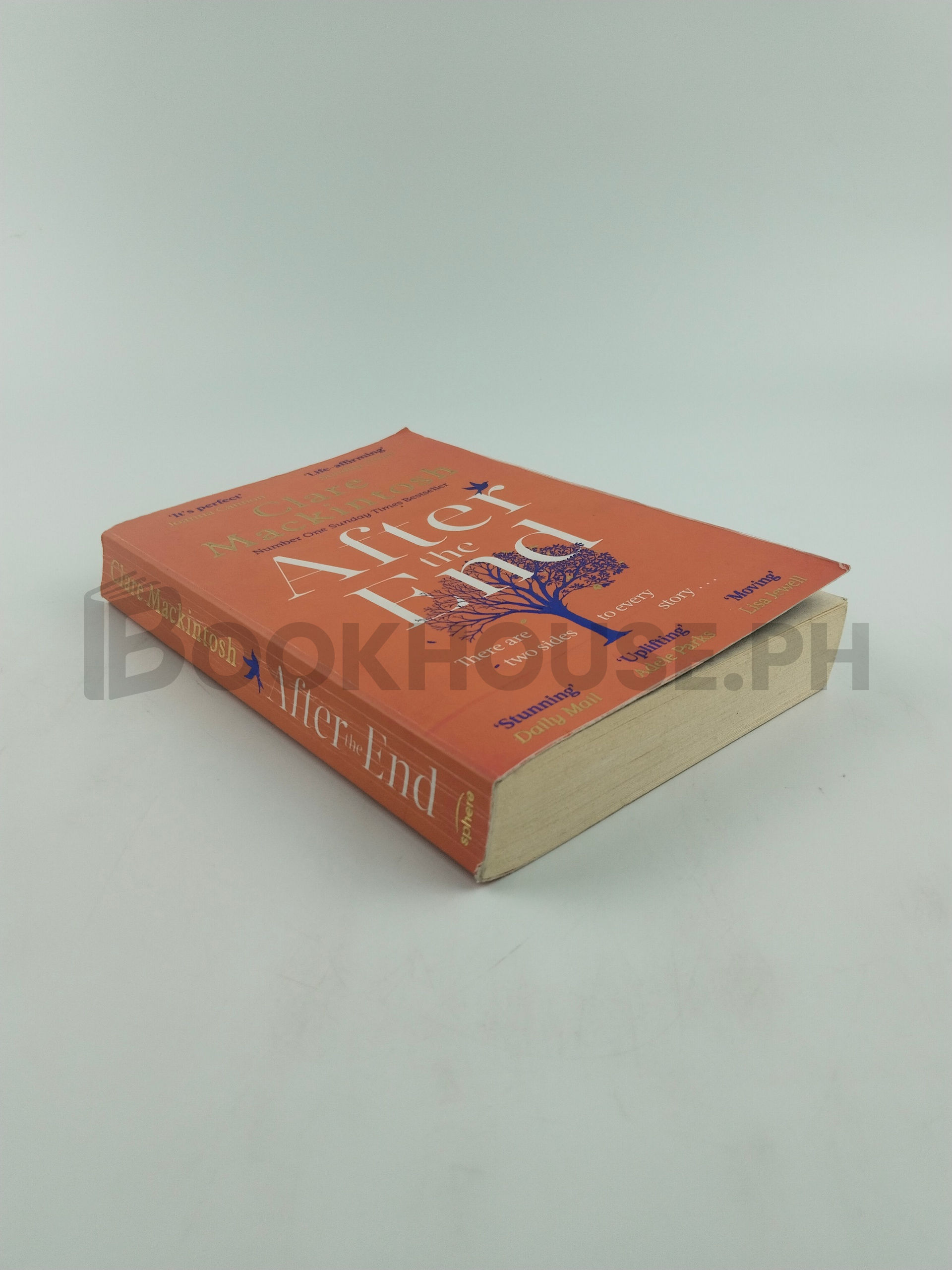 After The End by Clare Mackintosh - Image 2