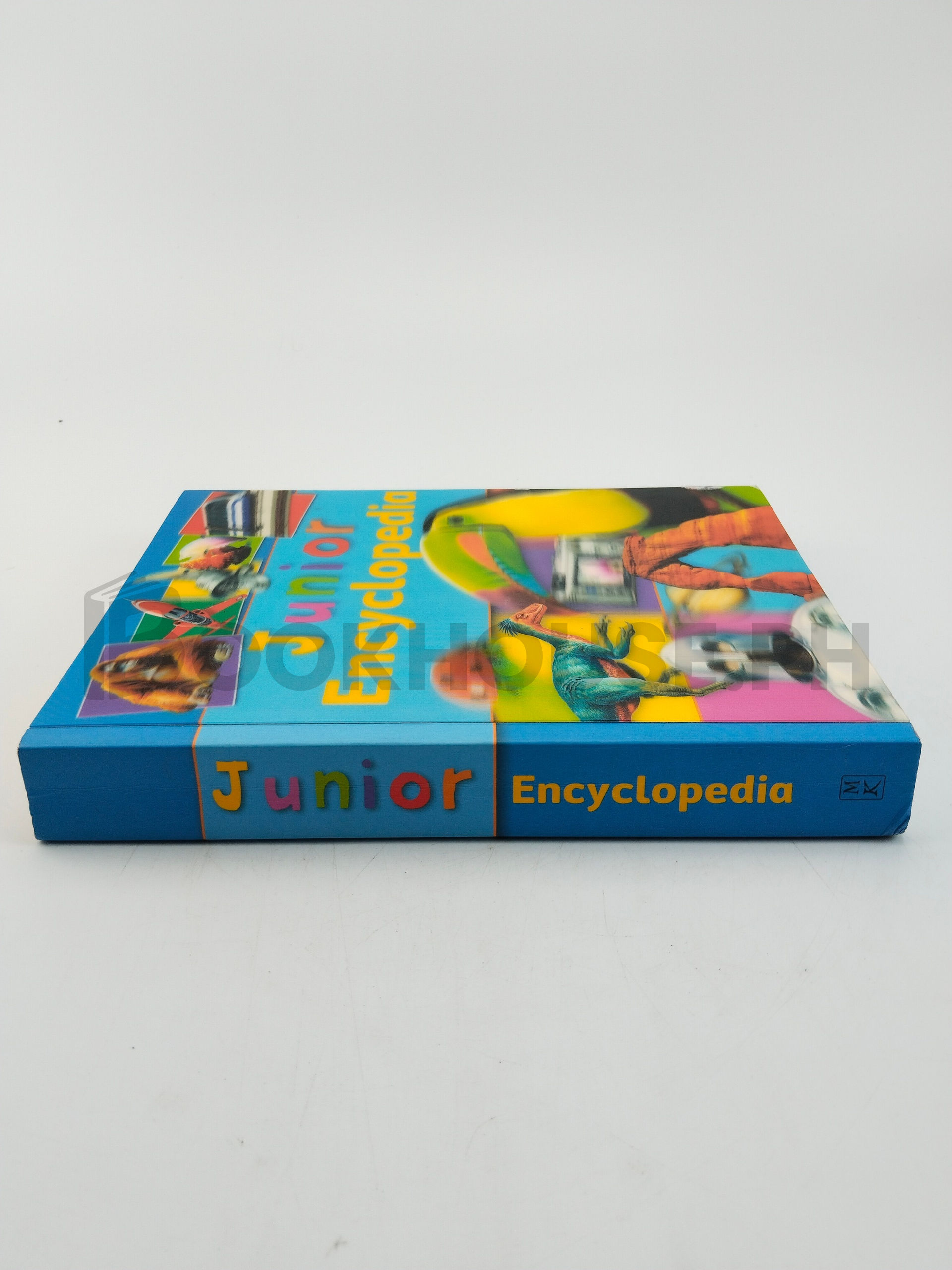 Junior Encyclopedia by Belinda Gallagher - Image 3