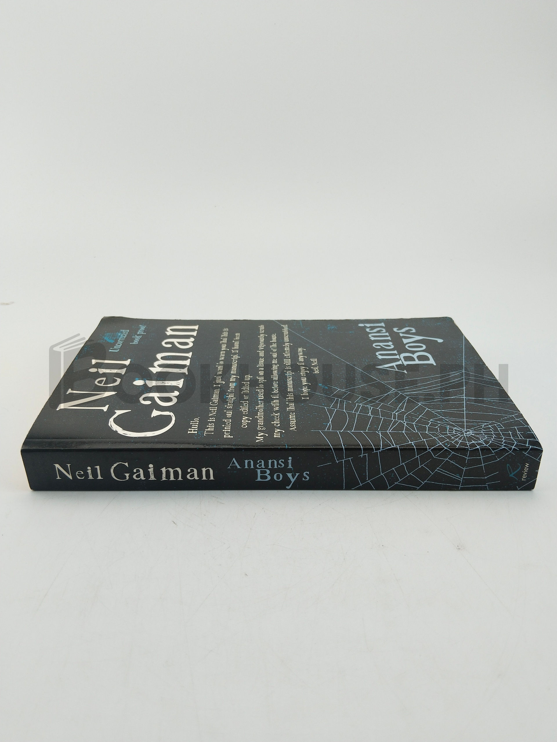 Anansi Boys by Neil Gaiman - Image 3