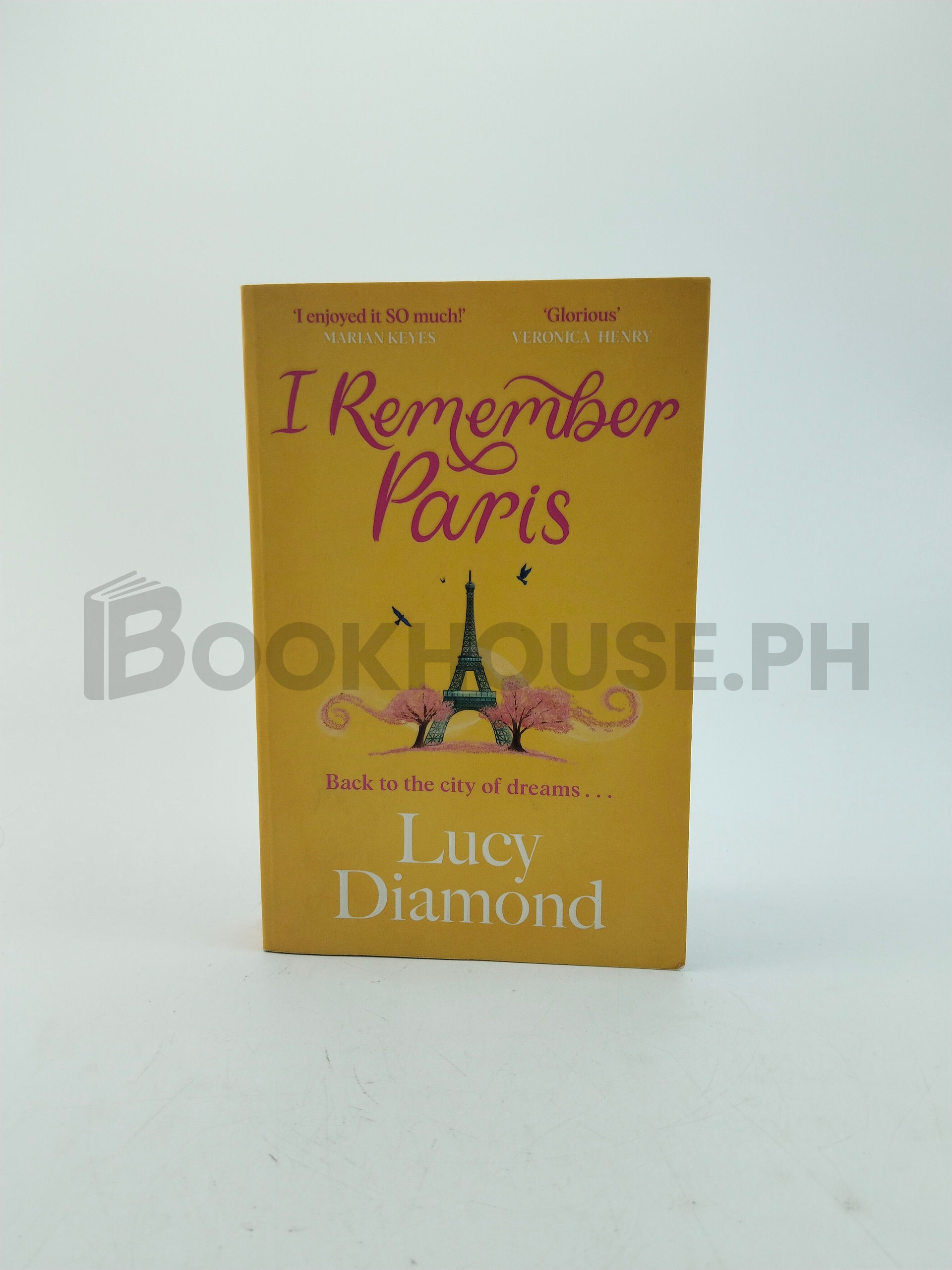 I Remember Paris by Lucy Diamond