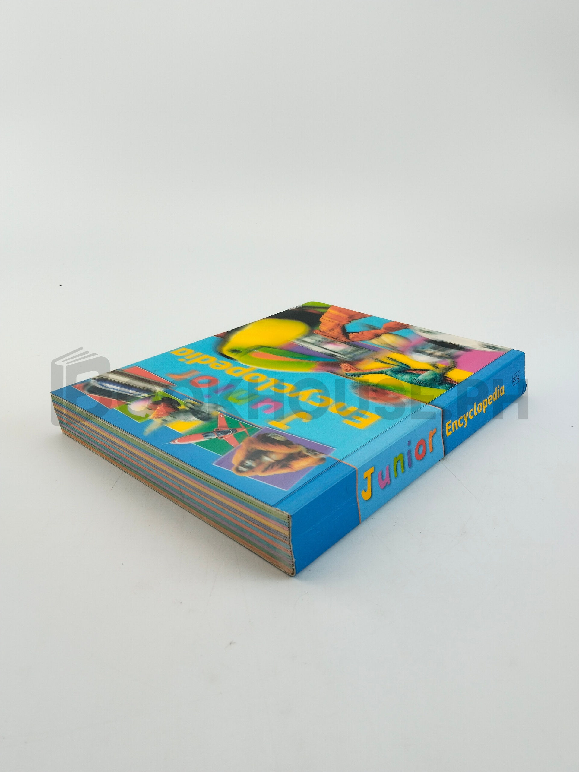 Junior Encyclopedia by Belinda Gallagher - Image 2