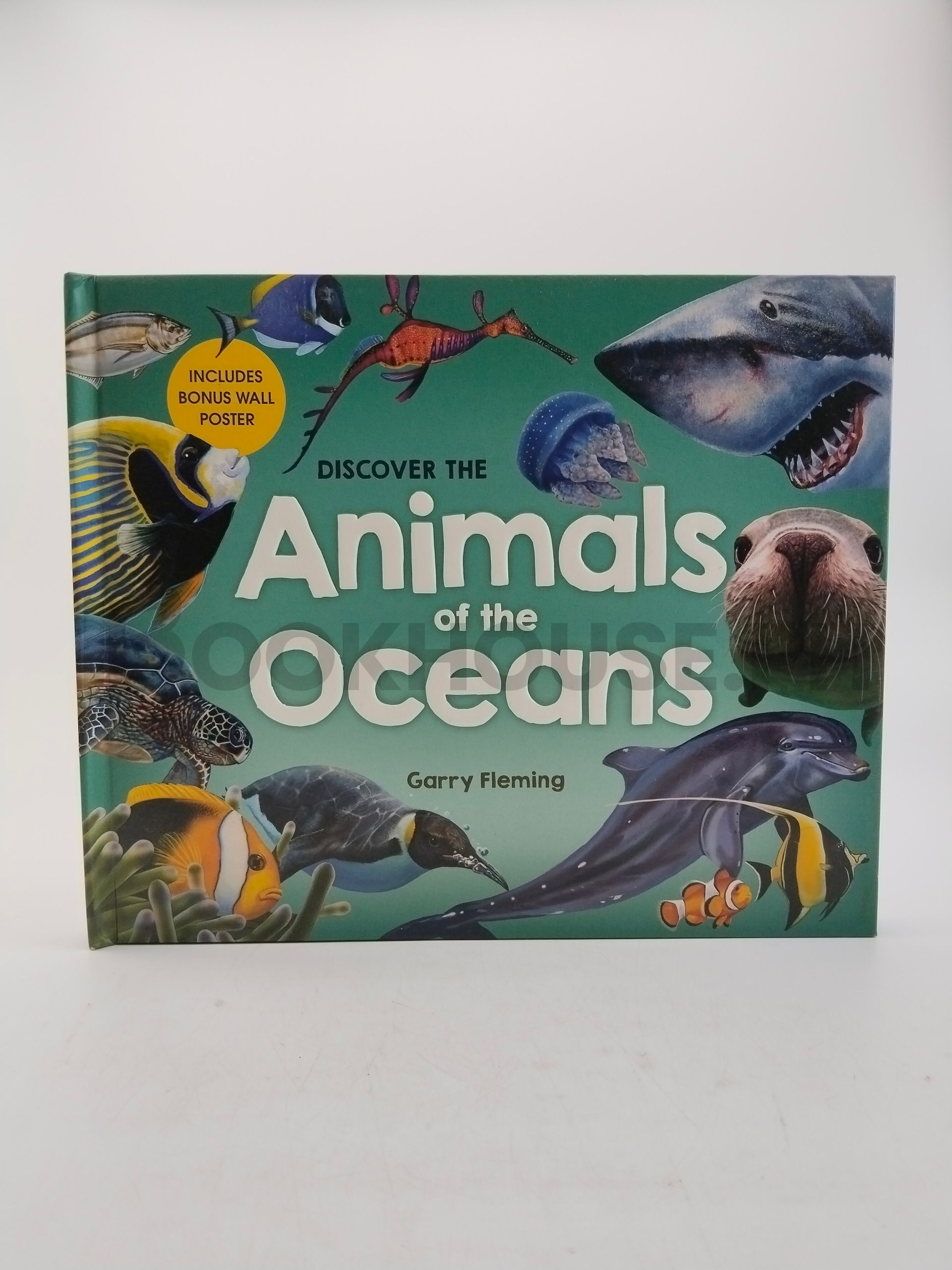Discover The Animals Of The Ocean by Garry Fleming