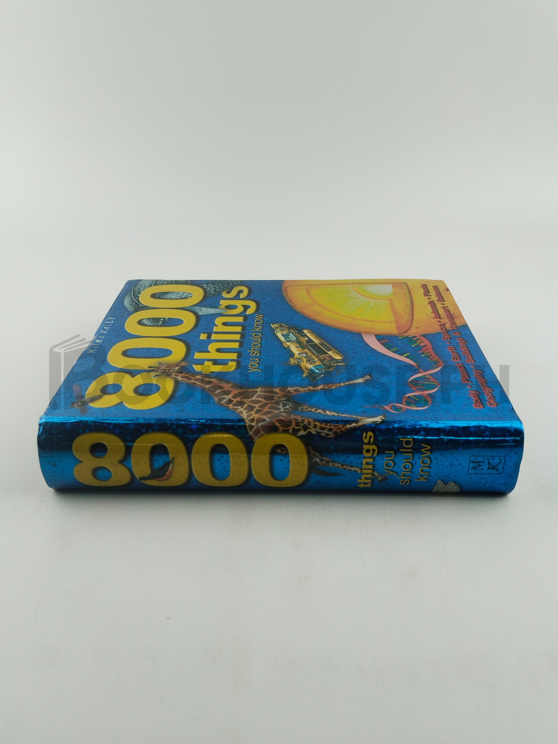 8000 Things You Should Know by Miles Kelly - Image 3