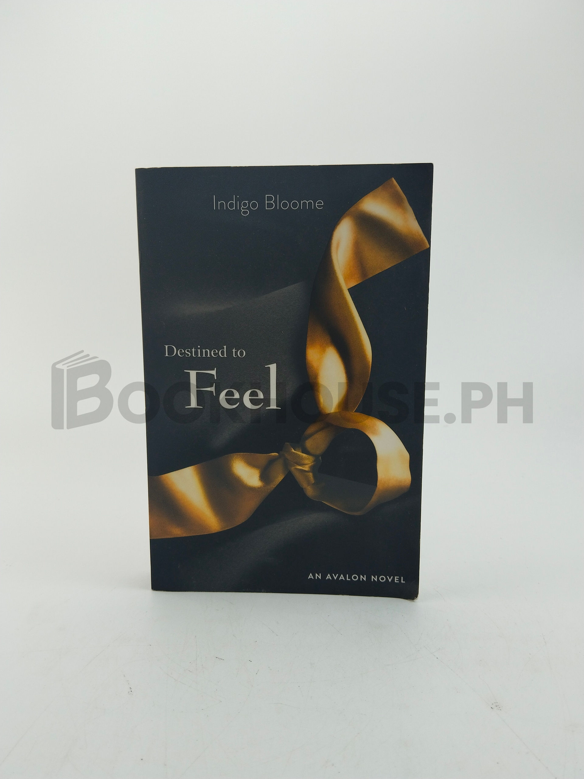 Destined To Feel by Indigo Bloome