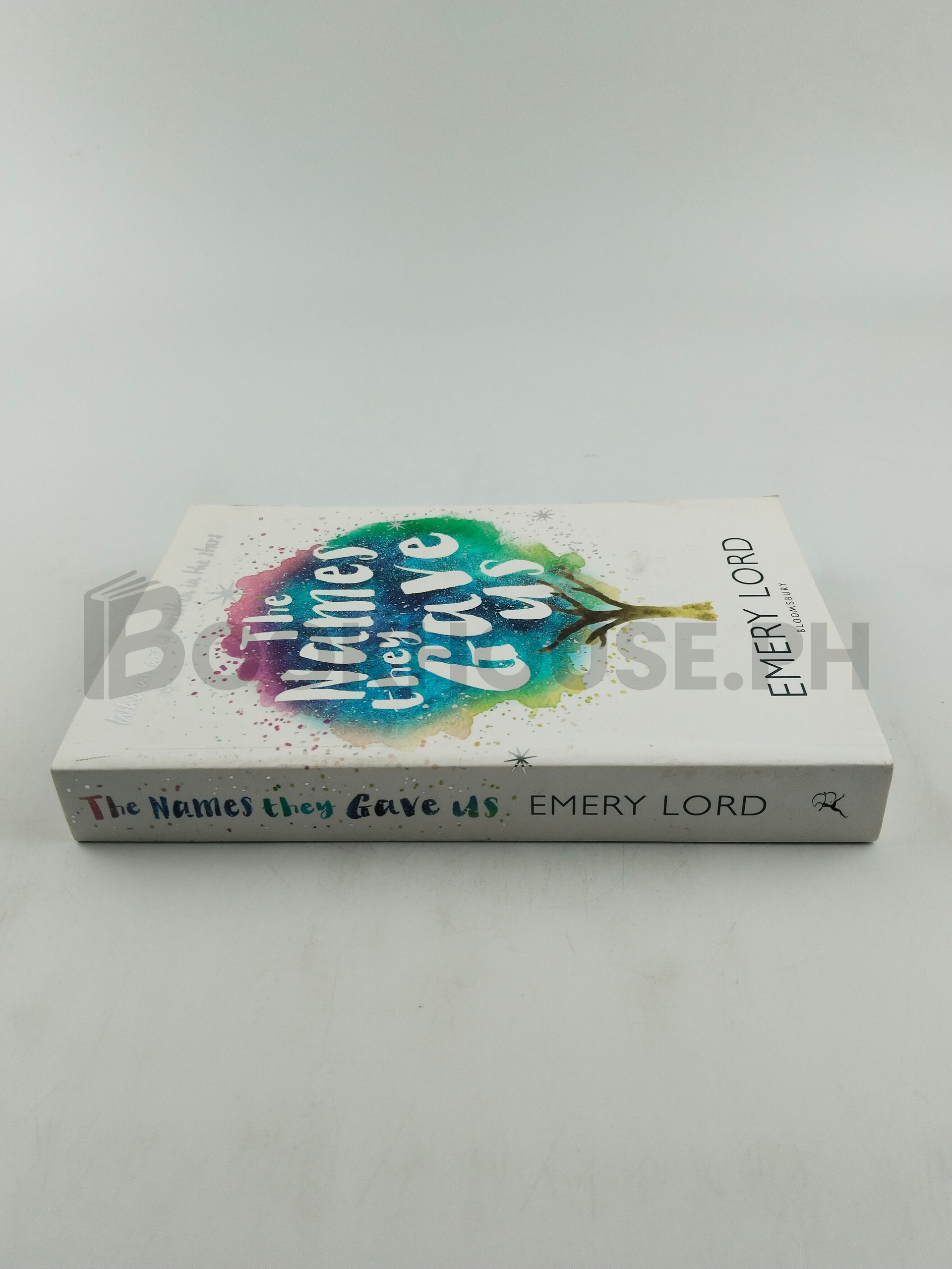 The Names They Gave Us by Emery Lord - Image 3