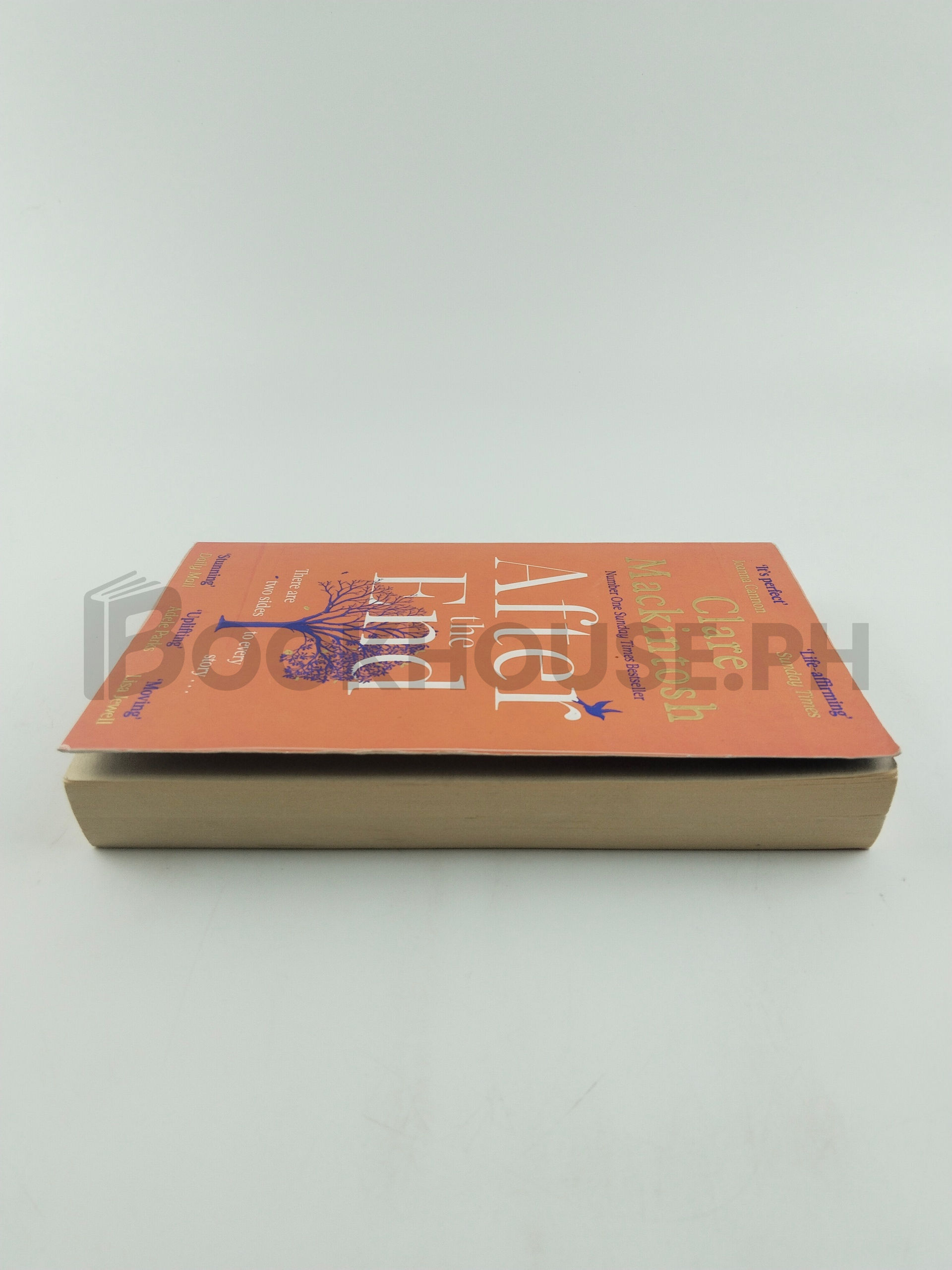 After The End by Clare Mackintosh - Image 4