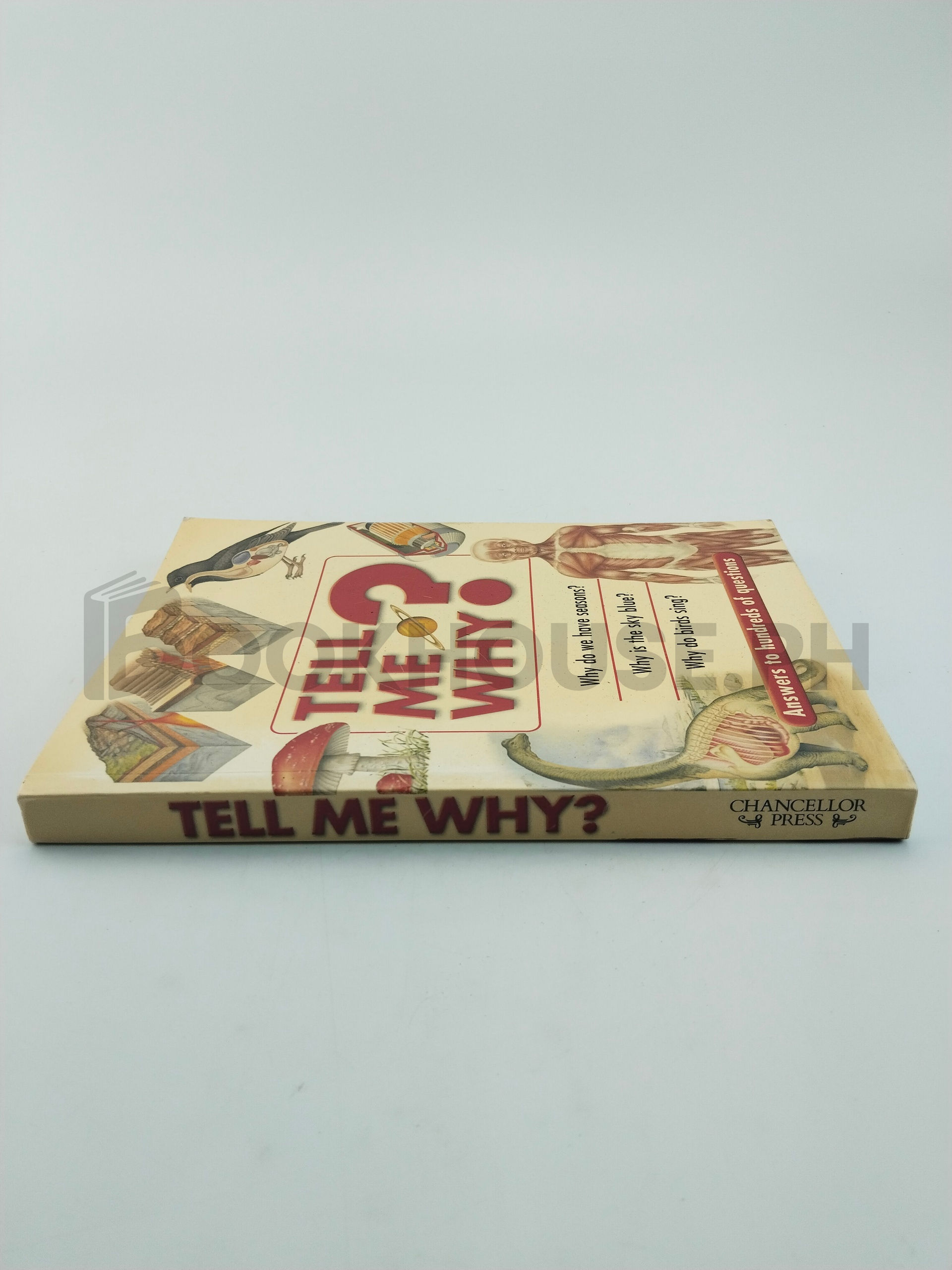 Tell Me Why? by Bounty Books, Robyn Templeton - Image 3