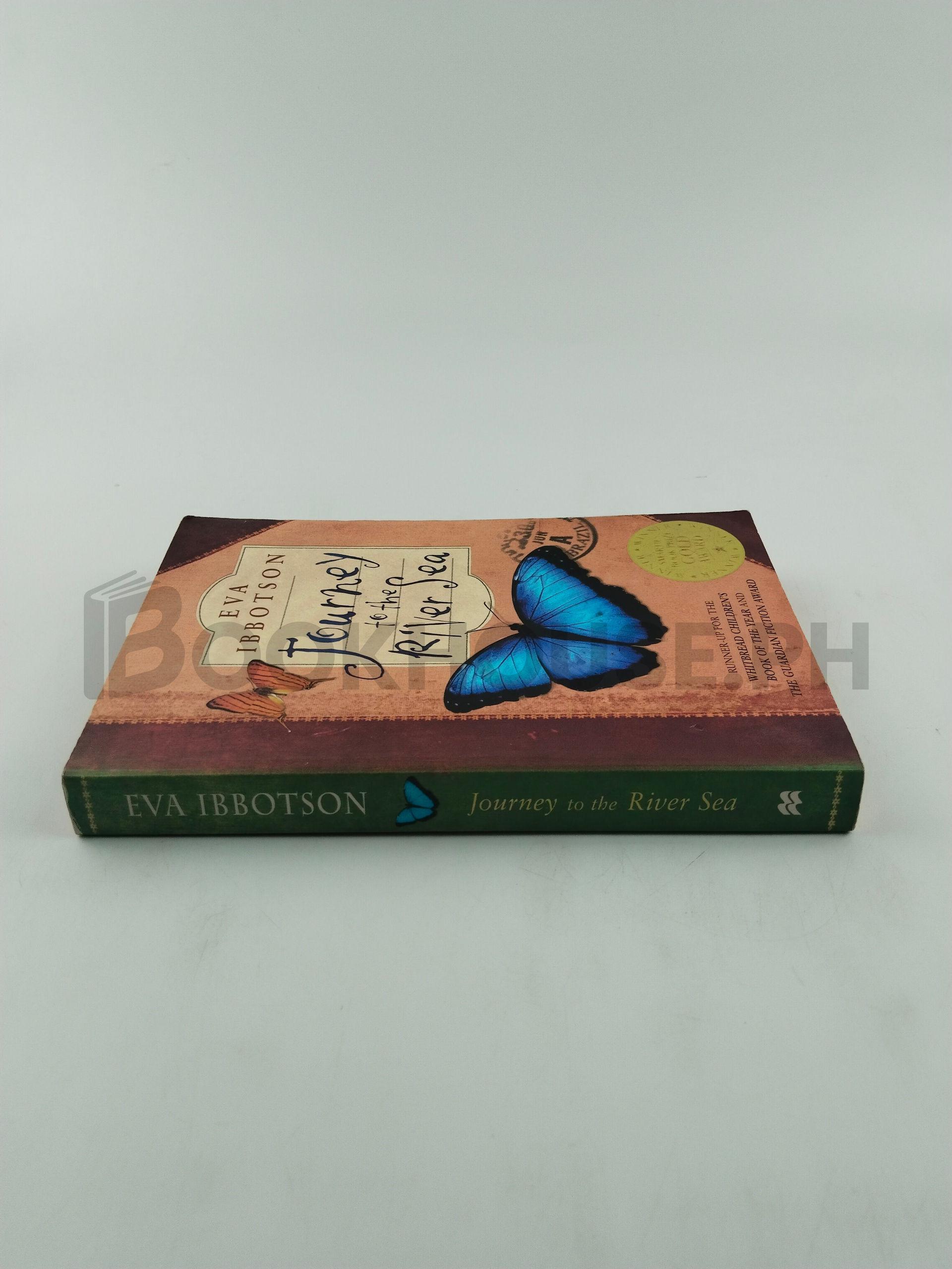 Journey To The River Sea by Eva Ibbotson - Image 3