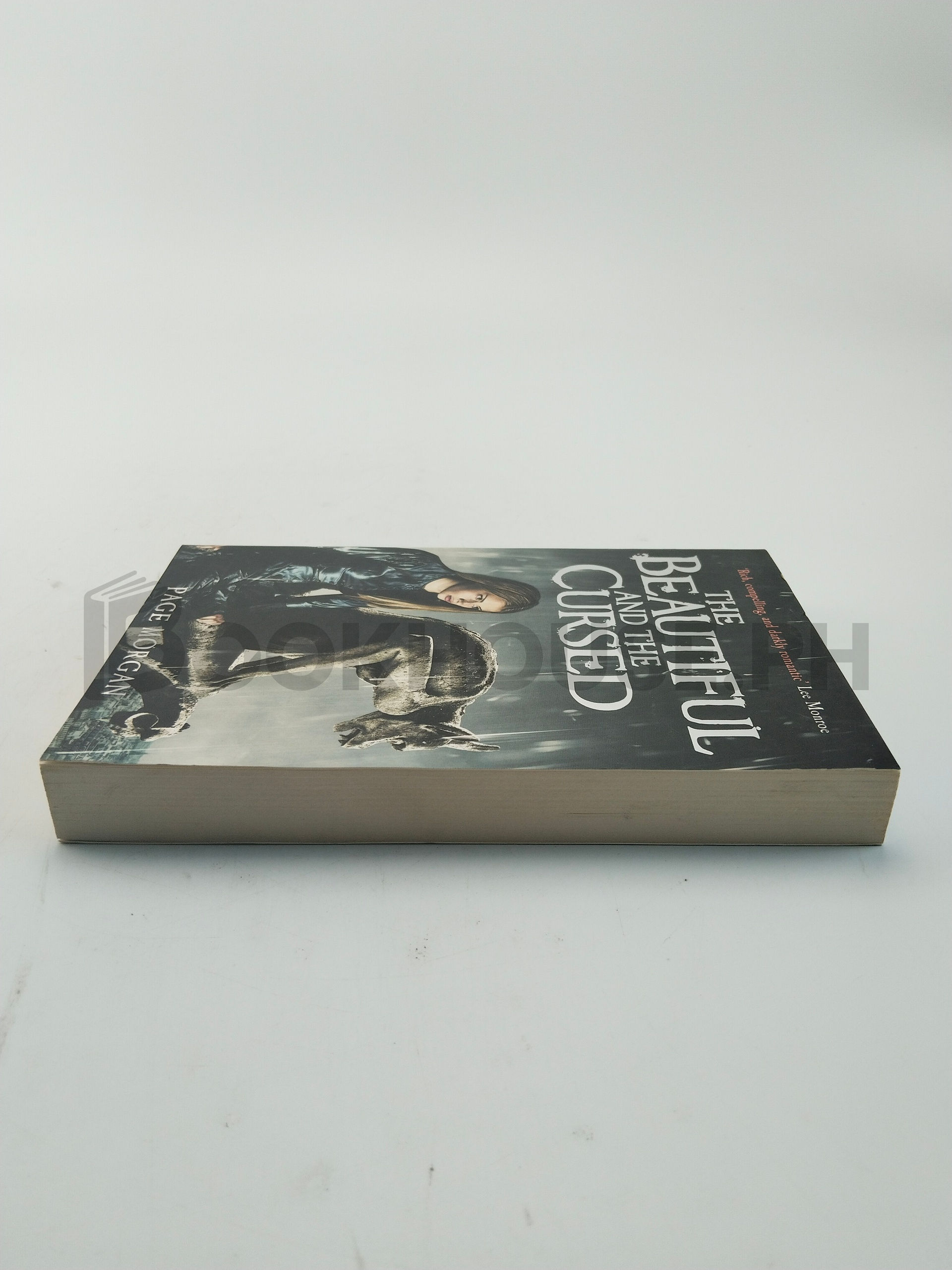 The Beautiful And The Cursed by Page Morgan - Image 4