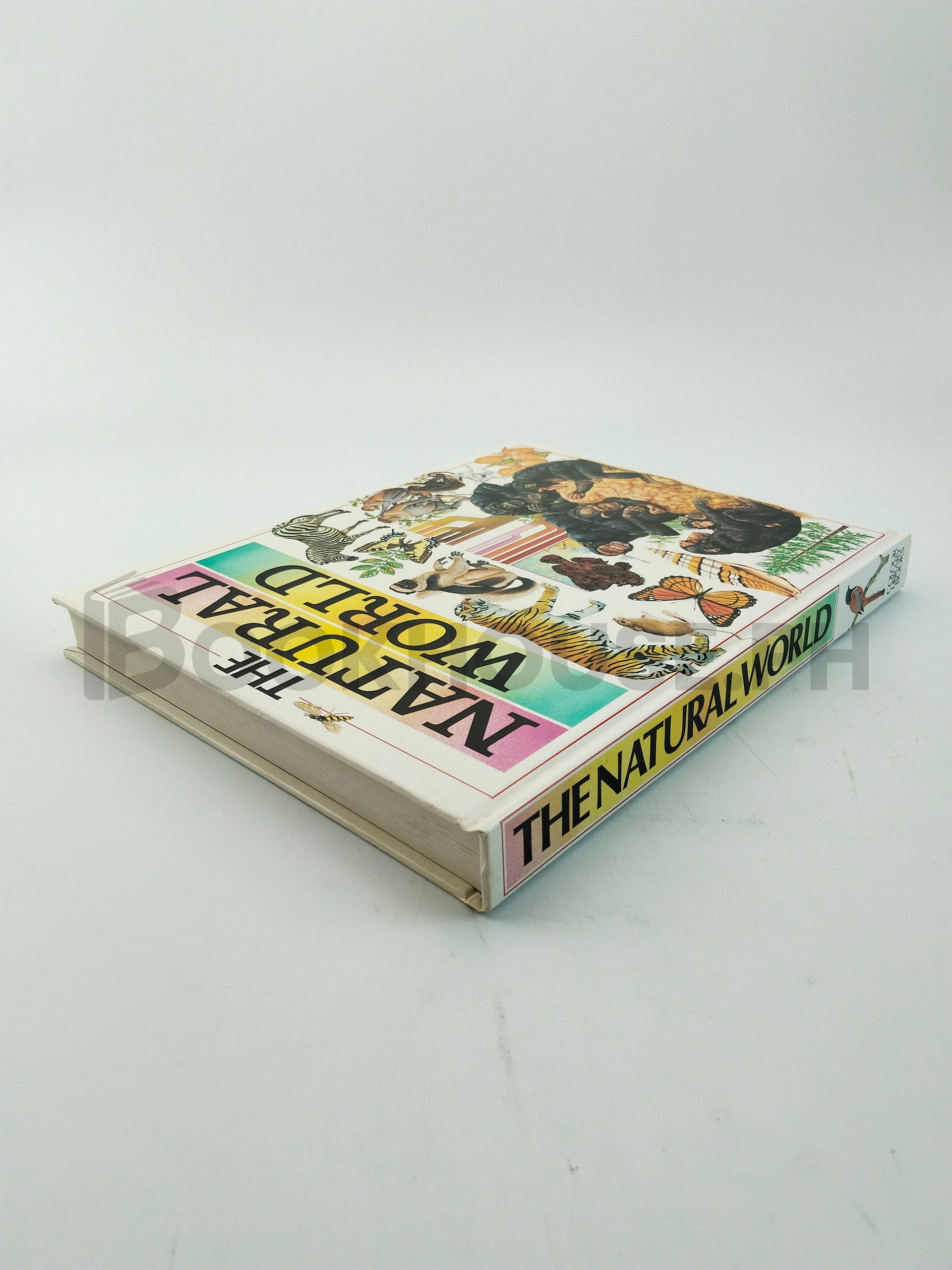 The Natural World by Colour Library Books - Image 2