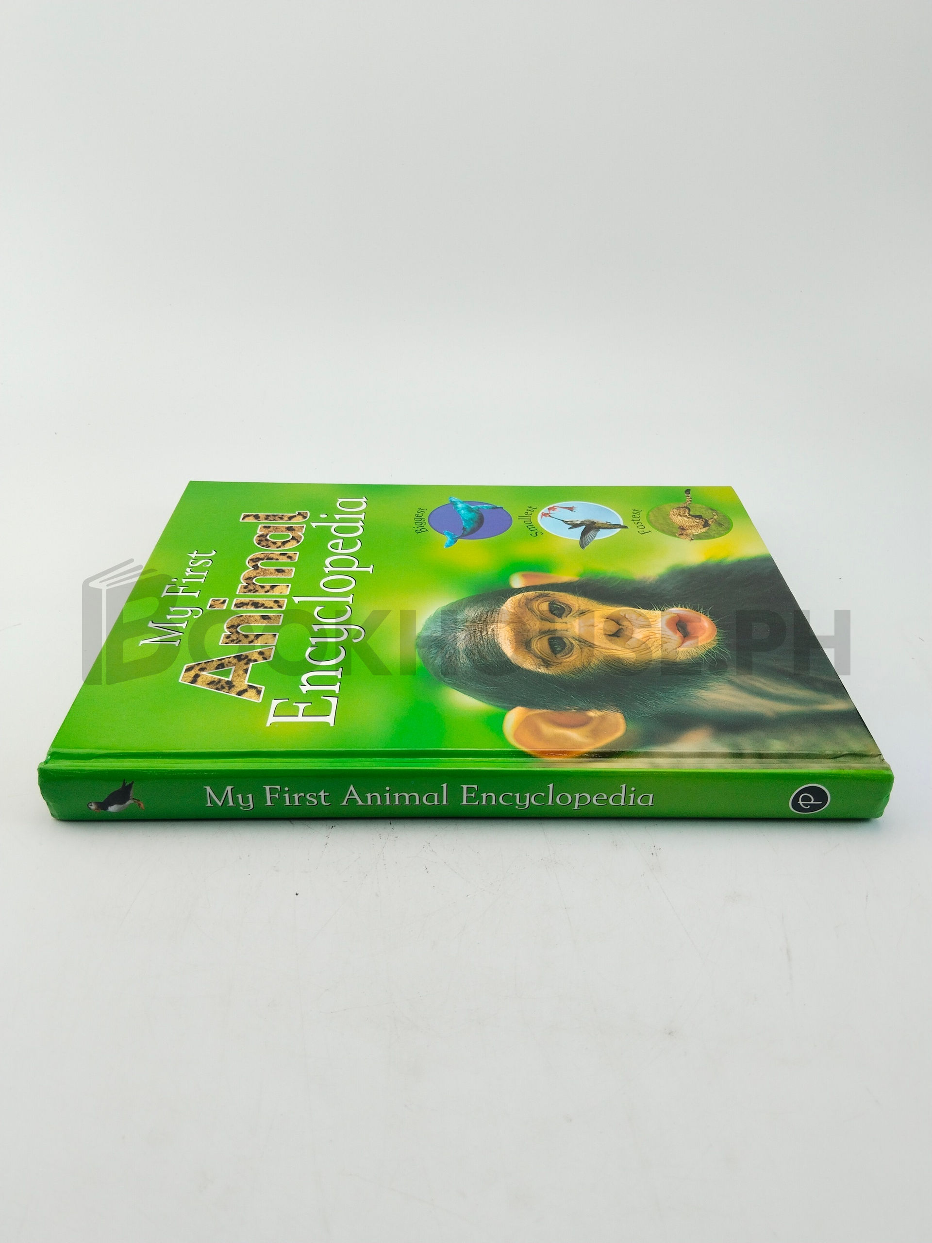 My First Animal Encyclopedia by Parragon Book Service Limited, Sally Morgan - Image 3