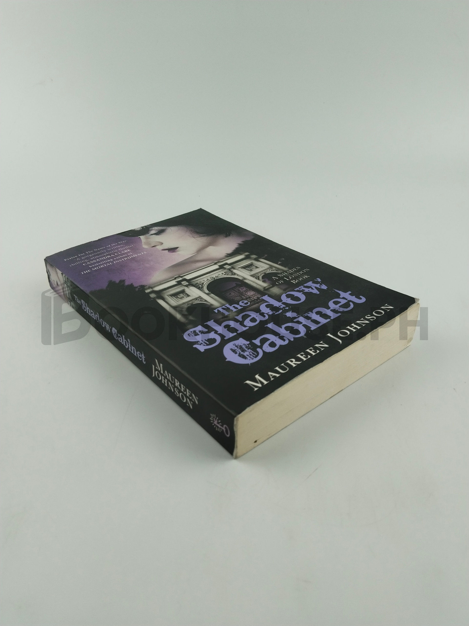 The Shadow Cabinet by Maureen Johnson - Image 2